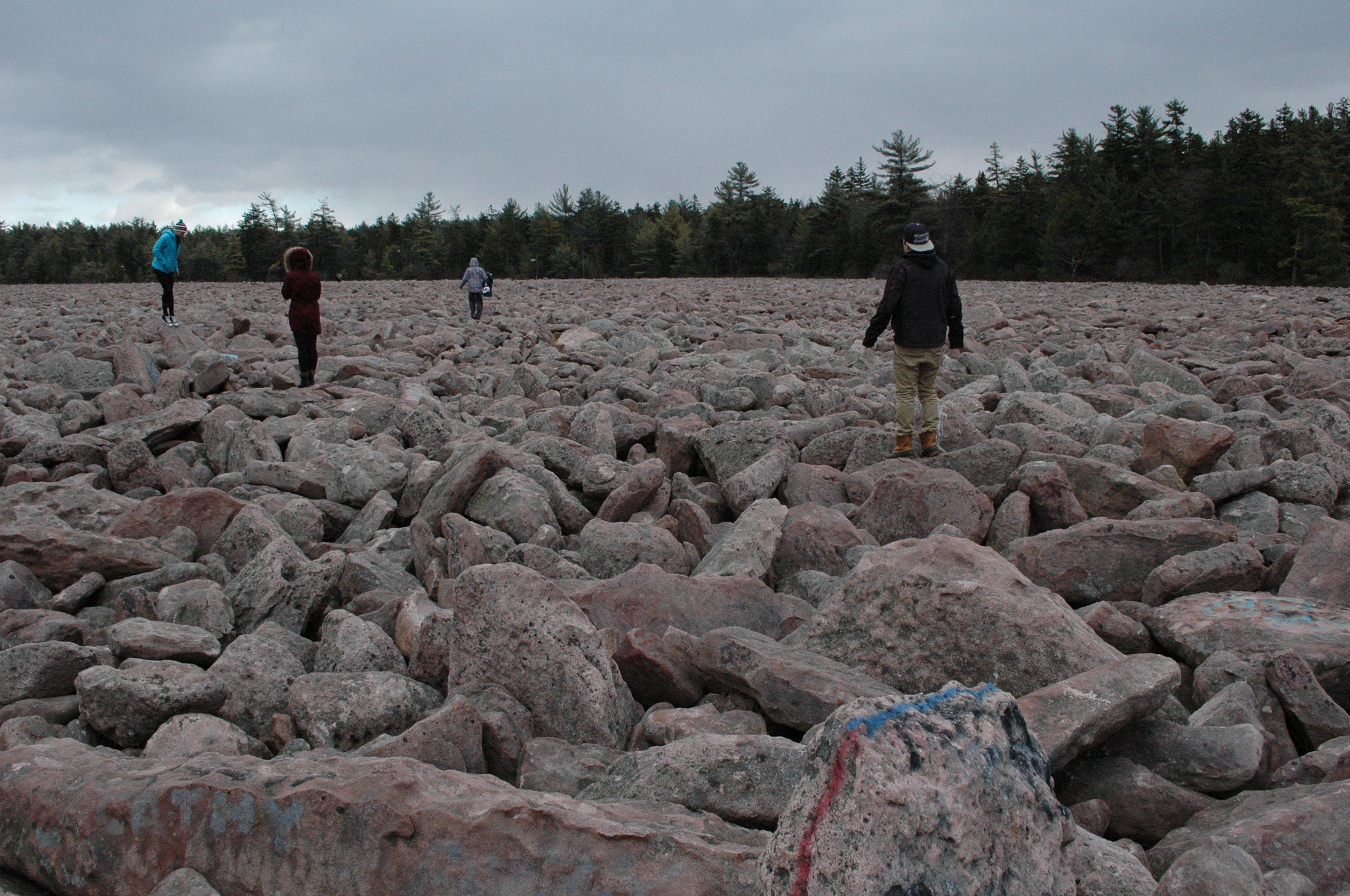 Nikon D70 sample photo. Boulder field, pa photography