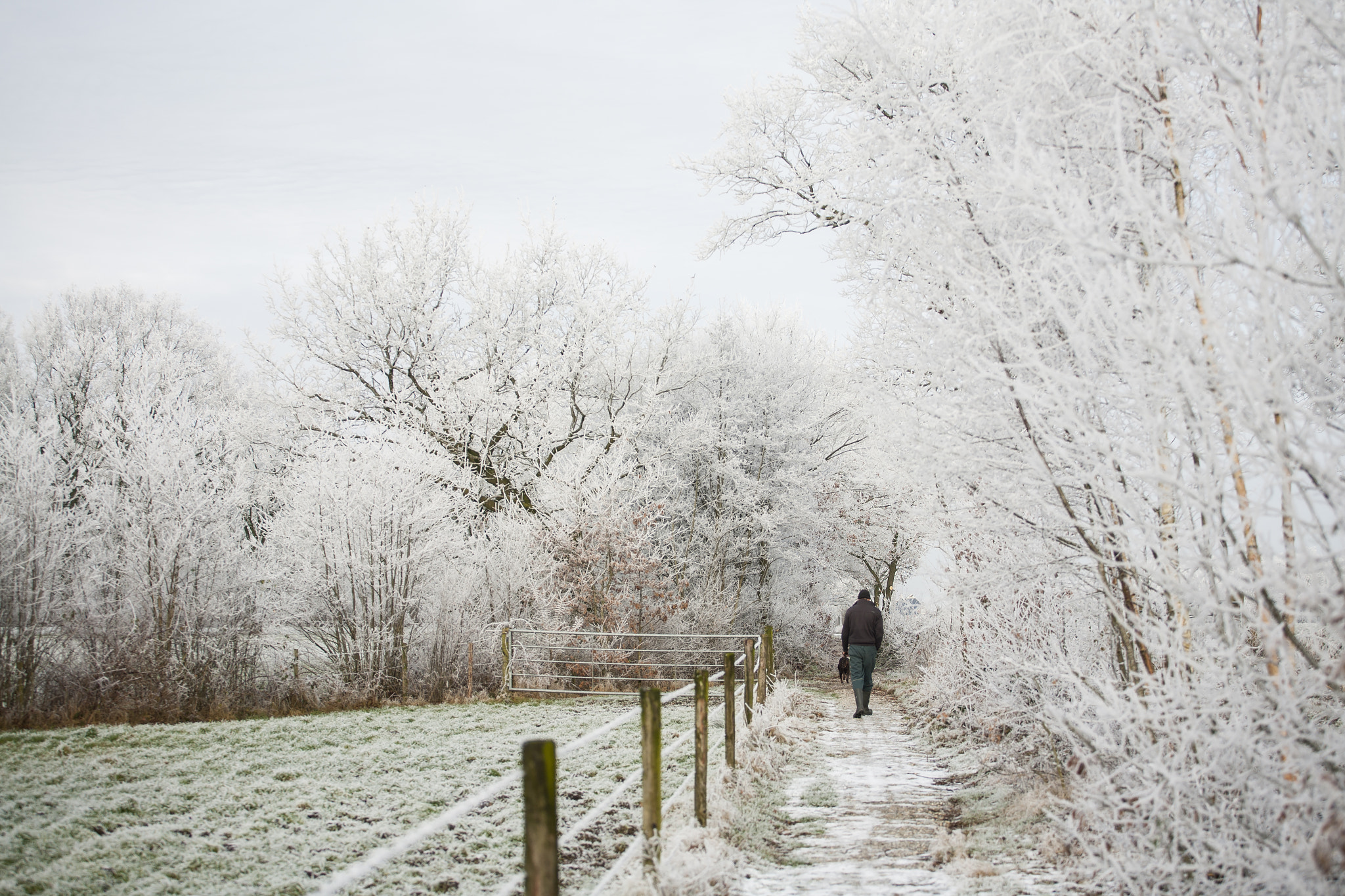 Canon EOS 5D + Canon EF 70-200mm F4L USM sample photo. Winter photography