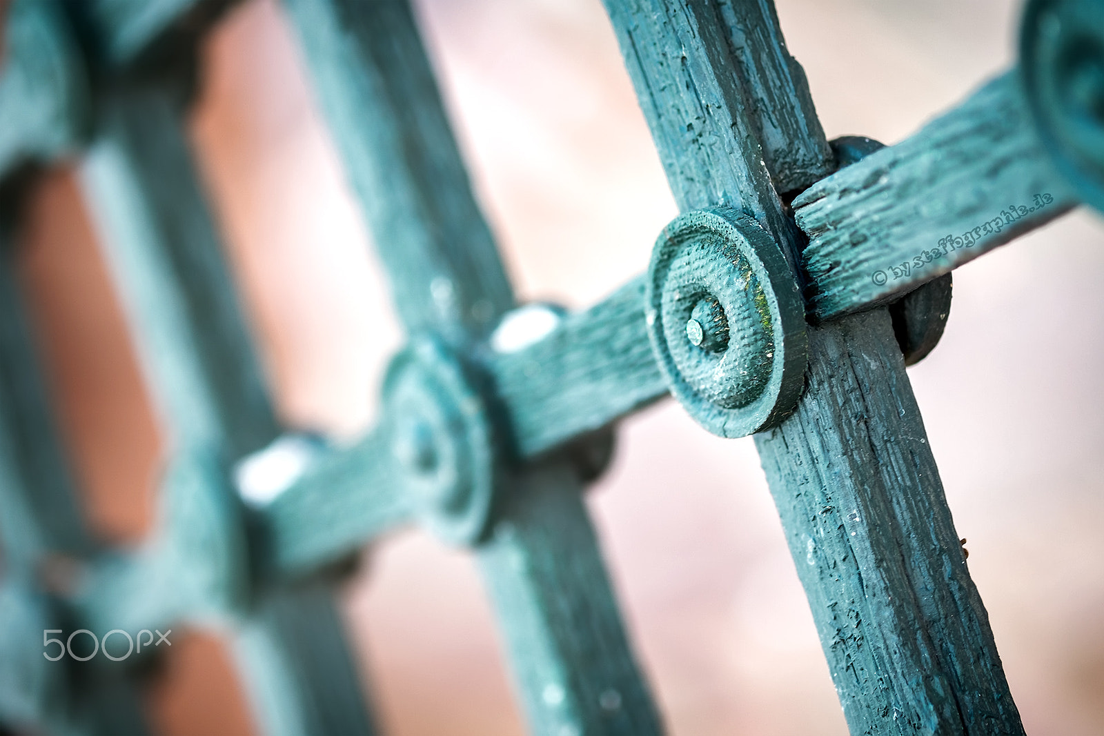 Fujifilm X-T1 + Fujifilm XF 60mm F2.4 R Macro sample photo. Transverse in green photography