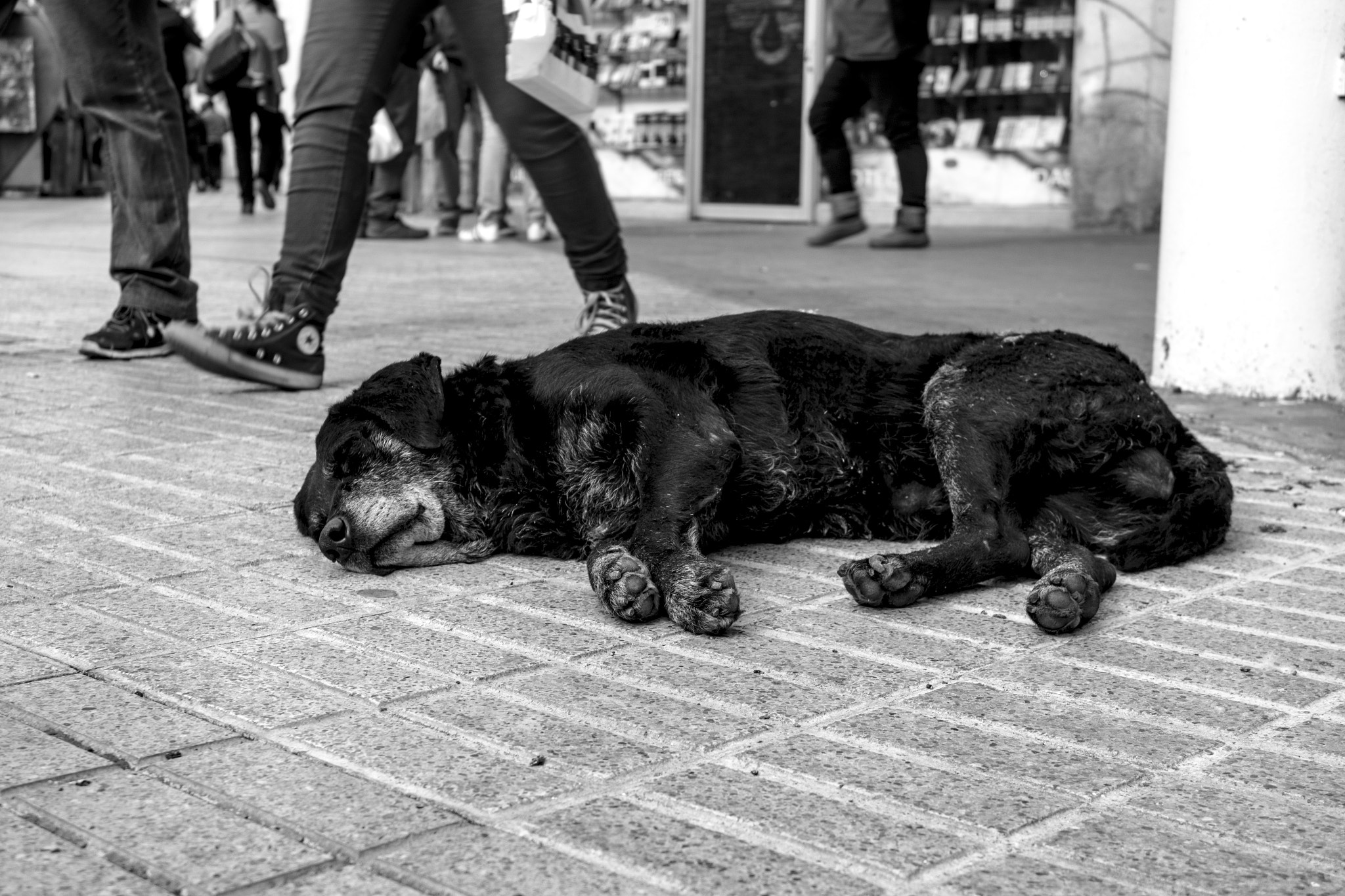Samsung NX 20-50mm F3.5-5.6 ED sample photo. Invisible photography
