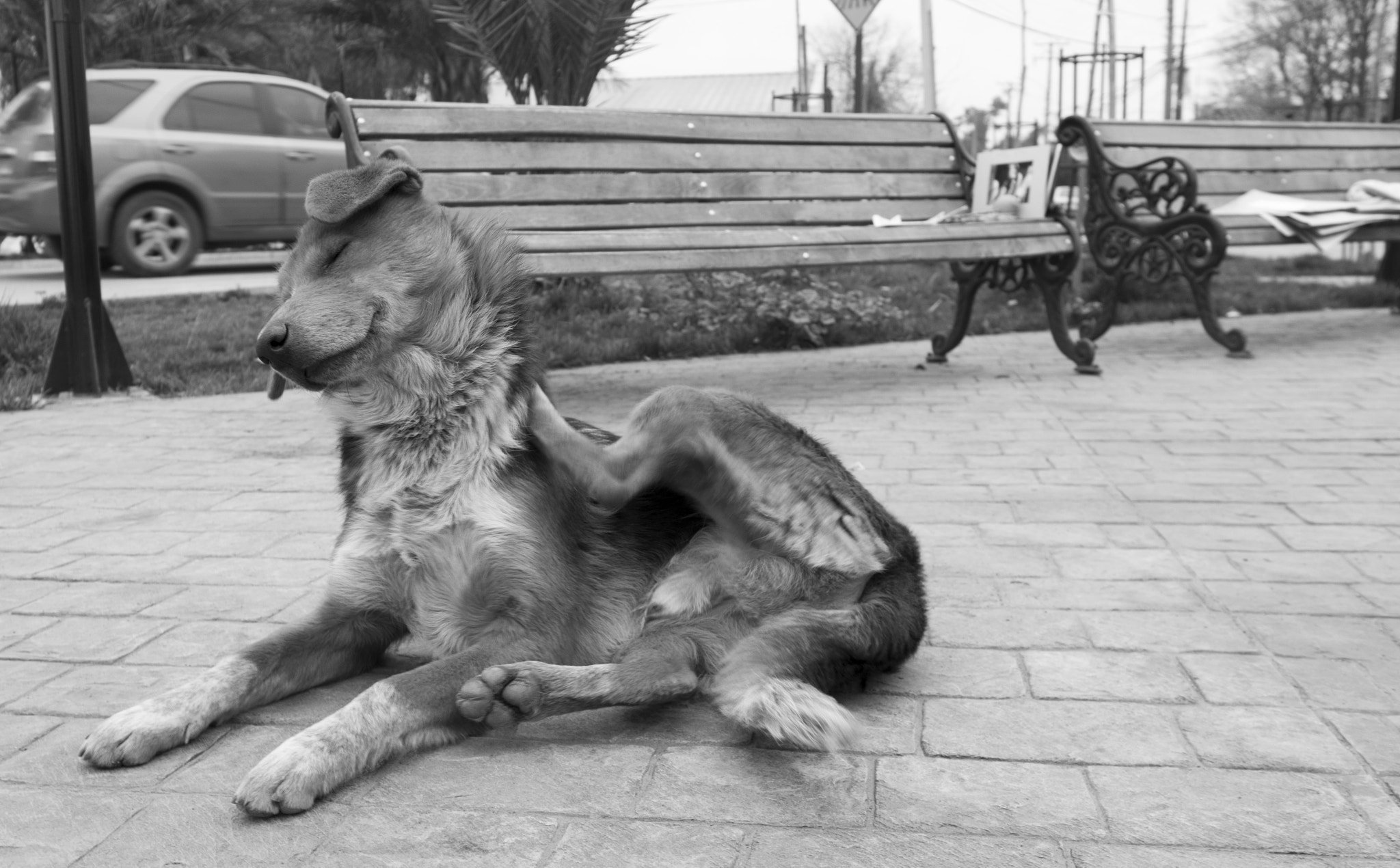 Samsung NX 20-50mm F3.5-5.6 ED sample photo. Placeres photography