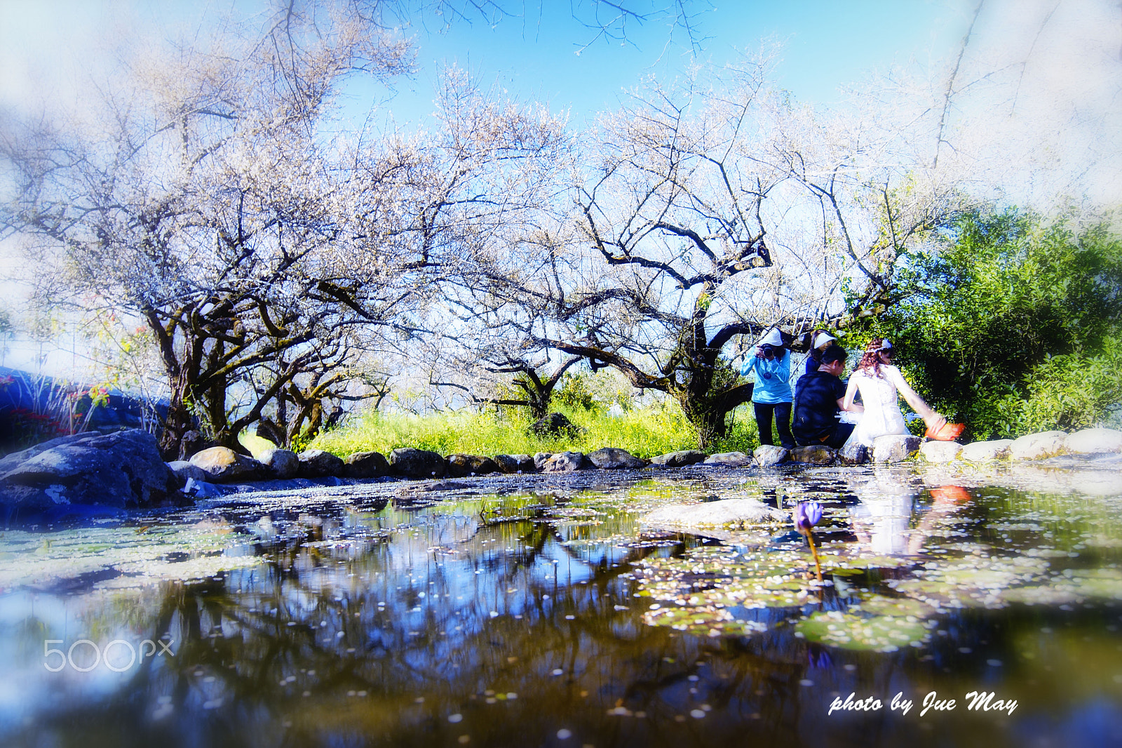 Sony SLT-A77 + 20mm F2.8 sample photo. 烏松崙梅花圖 photography