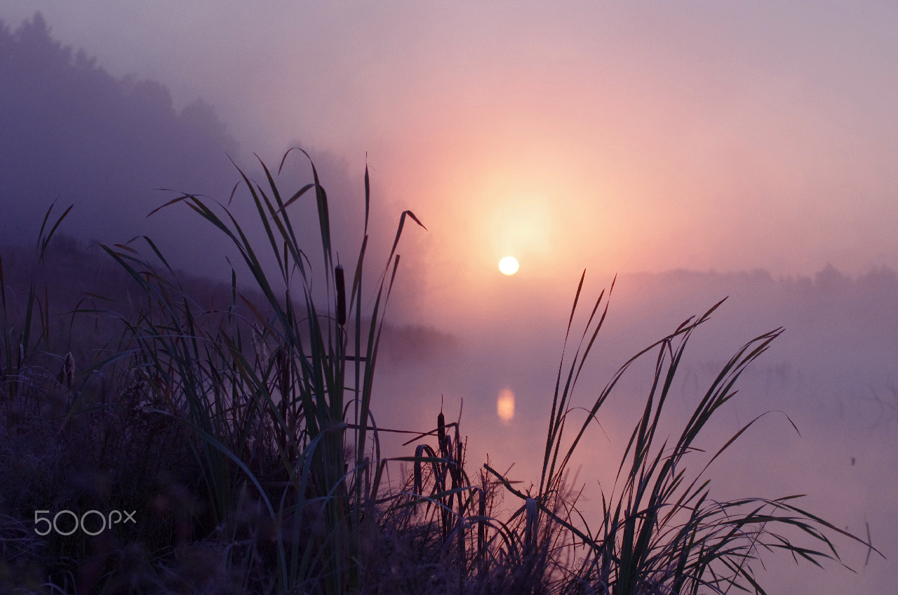 Pentax K-5 + Sigma 50mm F1.4 EX DG HSM sample photo. Dawn photography