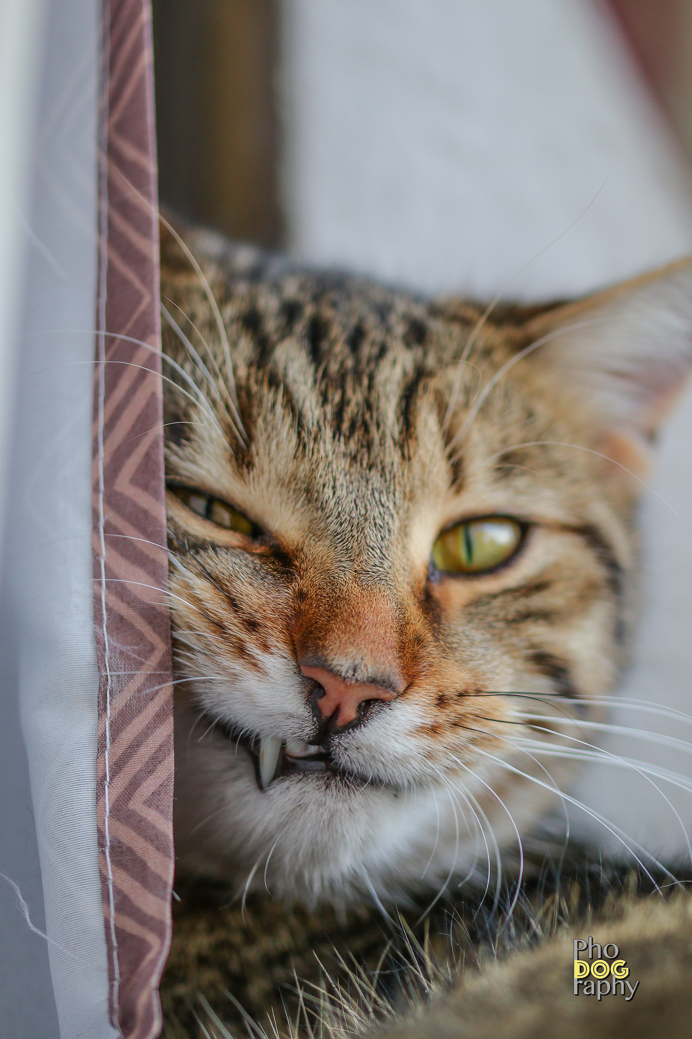 Canon EOS M5 sample photo. Nice looking mr. wilson photography