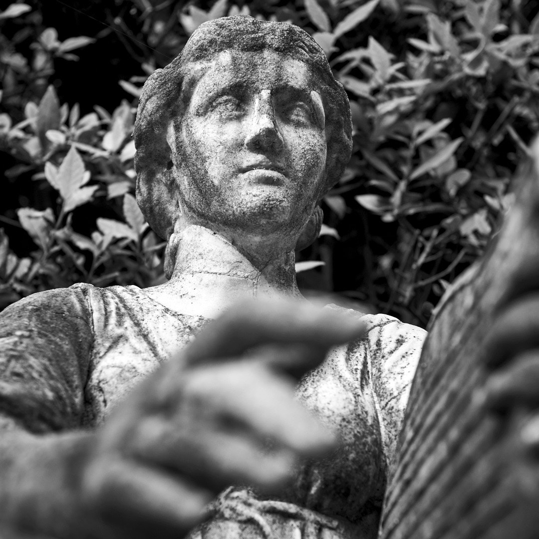 Sony SLT-A37 sample photo. Justice - florence boboli's gardens photography