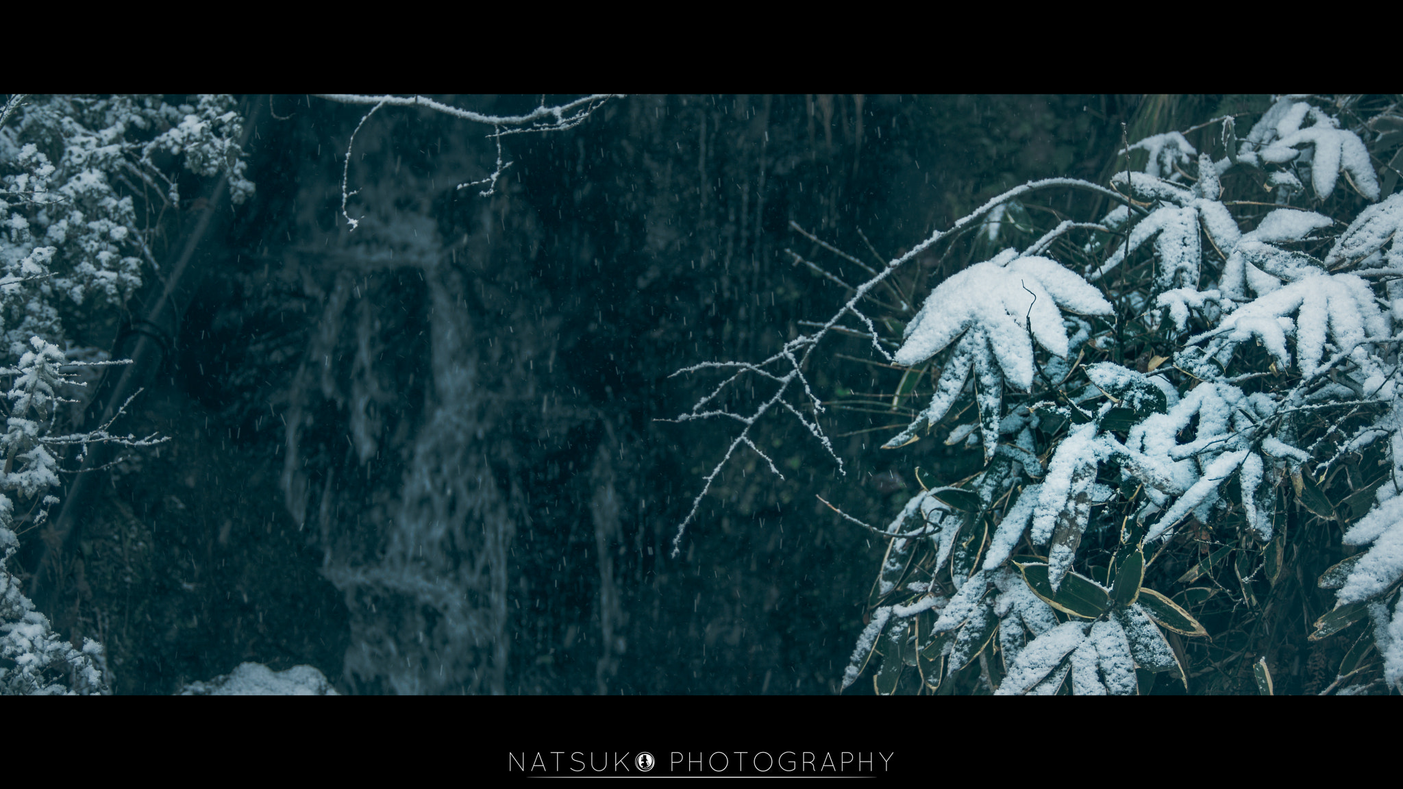 Sony a7R II + Canon EF 50-200mm f/3.5-4.5L sample photo. 雪．野澤 photography