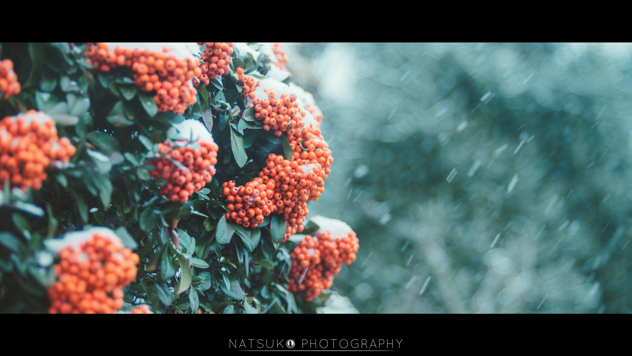 Canon EF 50-200mm f/3.5-4.5L sample photo. 雪．野澤 photography