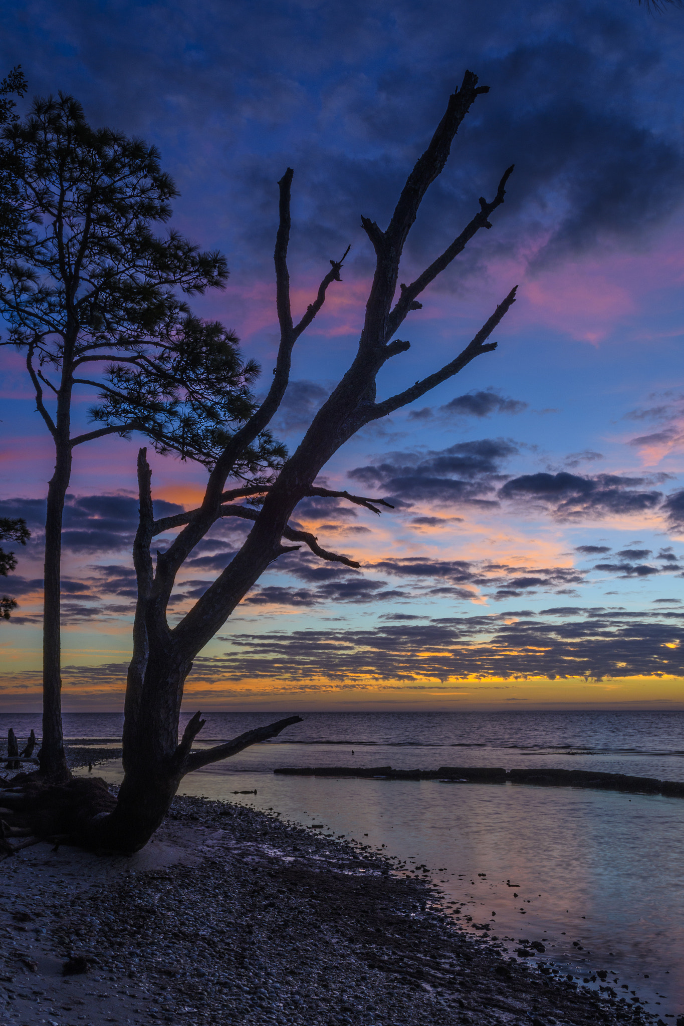 Nikon D500 sample photo. January 15 morning on the bay photography