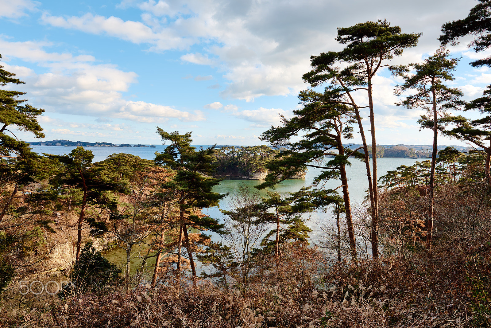 Nikon AF-S Nikkor 24-70mm F2.8G ED sample photo. Gentle time photography