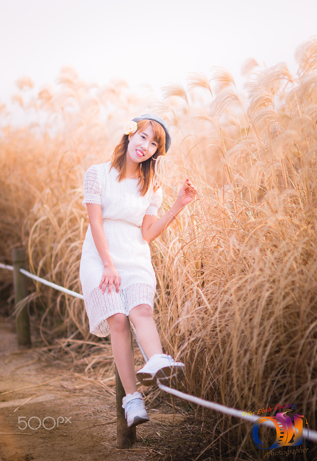 Sony Planar T* 85mm F1.4 ZA sample photo. Dịu dàng dưới ánh  nắng ấm ngày đông photography