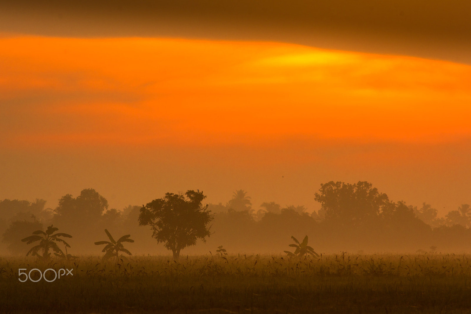 Canon EOS 60D sample photo. Silhouette of sunrise photography
