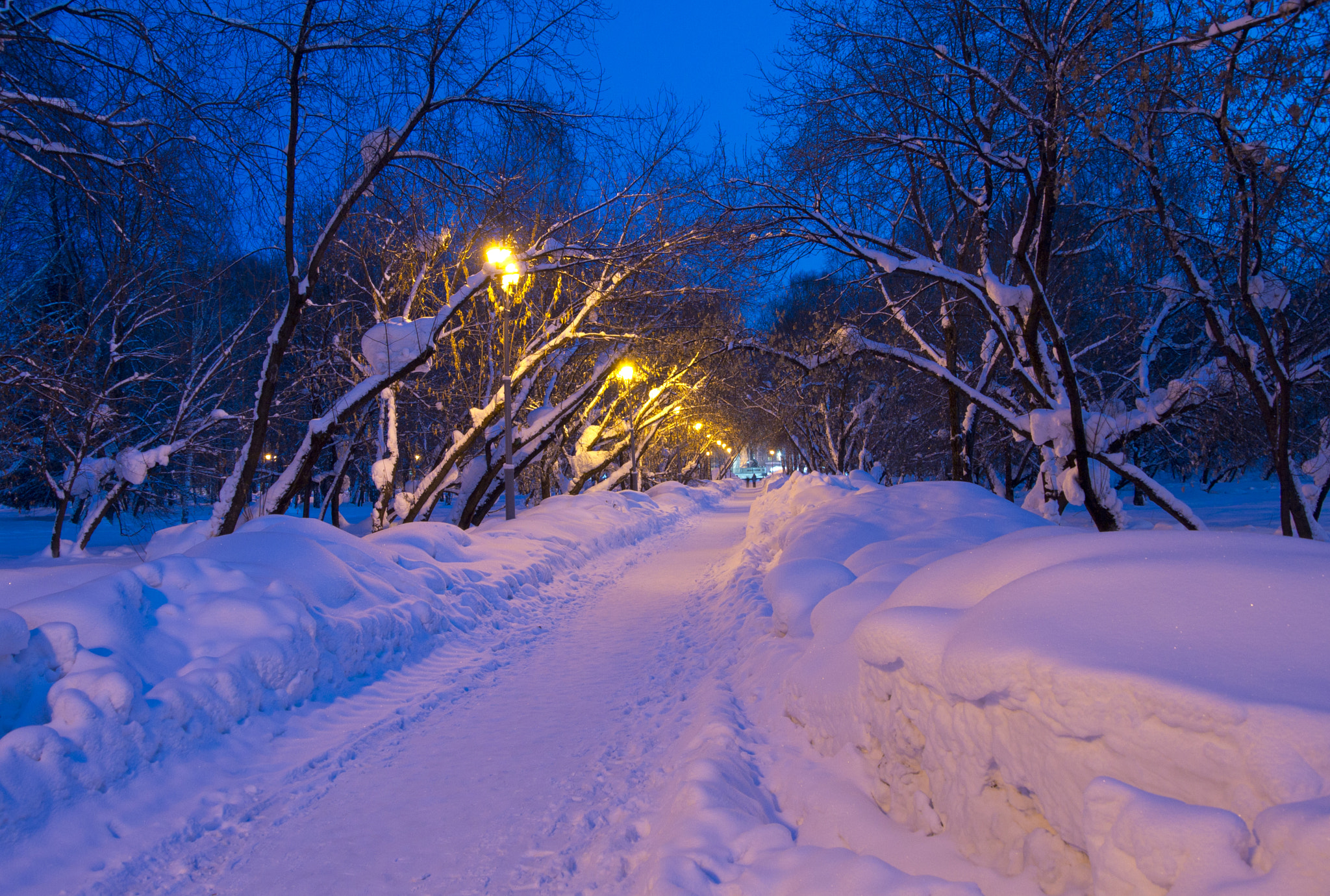 Nikon 1 Nikkor VR 10-30mm F3.5-5.6 sample photo. Зимняя аллея photography