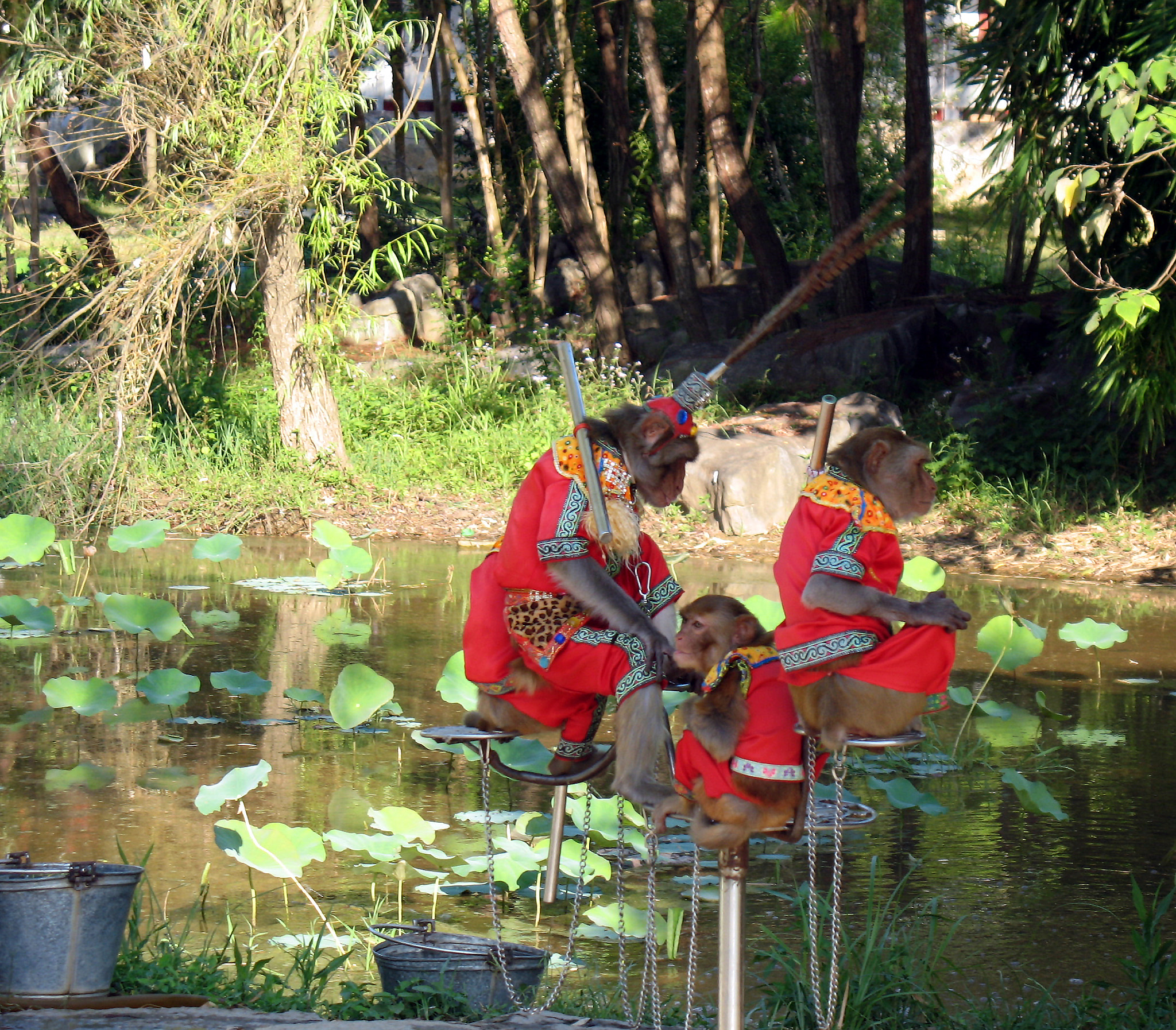 Canon POWERSHOT A620 sample photo. The three wise monkeys photography