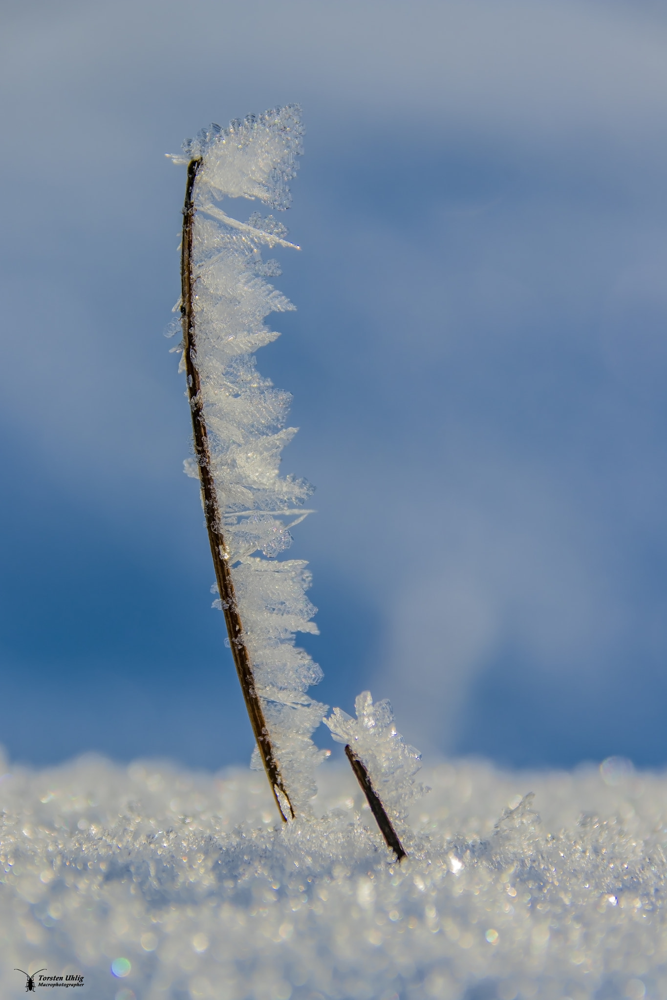 Canon EF 75-300mm F4.0-5.6 IS USM sample photo. Graskristall photography