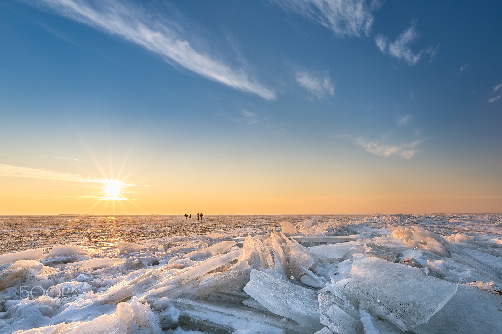 Nikon D600 sample photo. Frozen planet photography