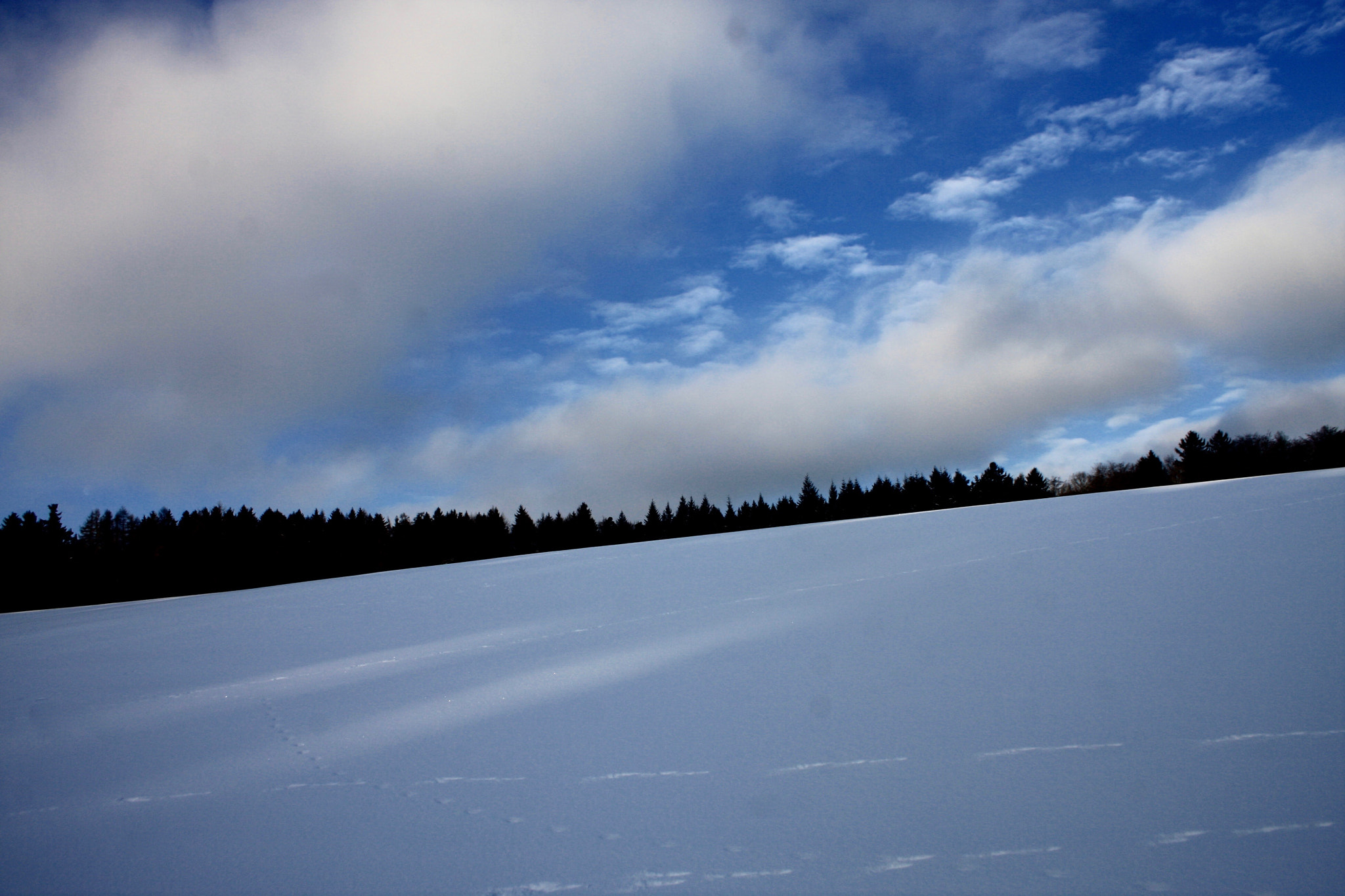 Canon EF-S 18-55mm F3.5-5.6 II sample photo. Abstracts in sno.w1341 photography