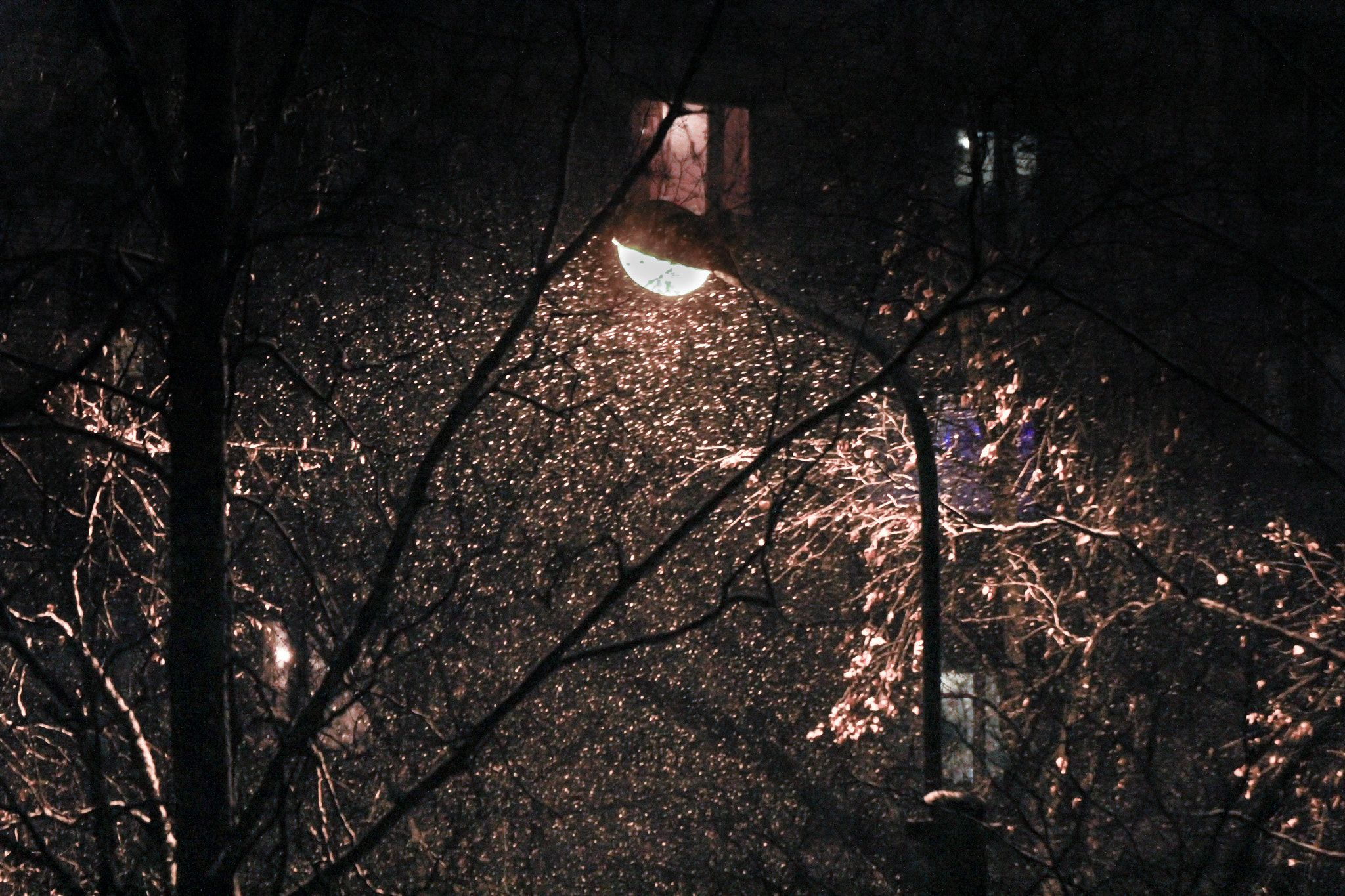 Canon EOS 60D + Tamron SP 70-300mm F4-5.6 Di VC USD sample photo. Night snowfall in the city. photography