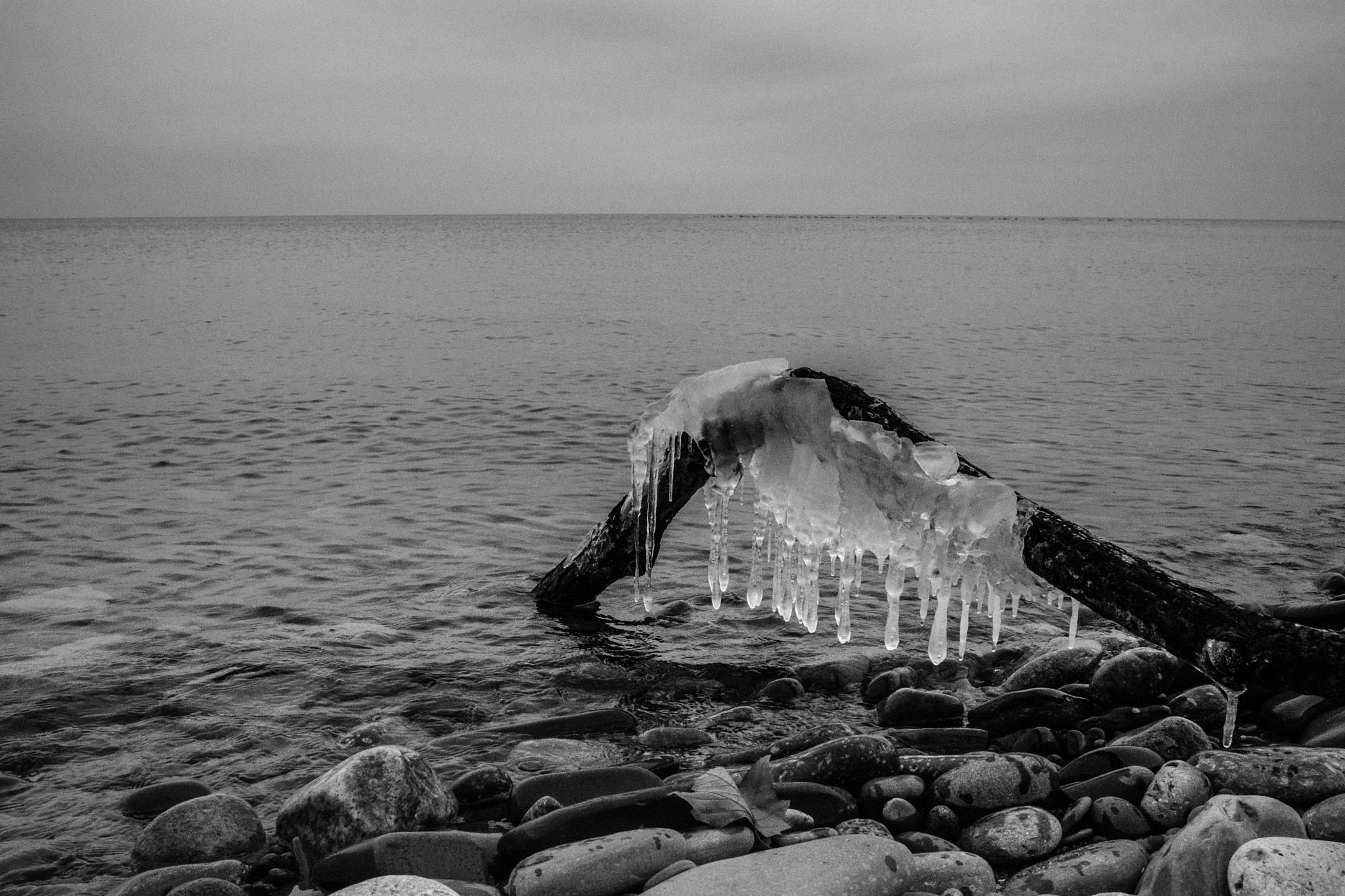 Sigma 18-250mm F3.5-6.3 DC Macro OS HSM sample photo. Chillin' on the beach photography
