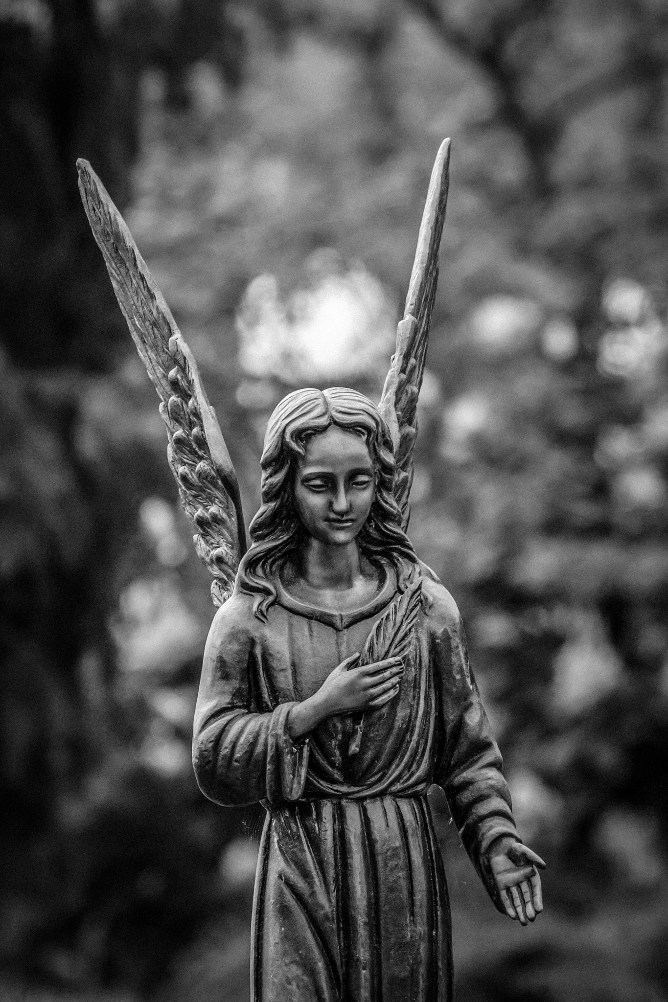 Canon EF 70-300mm F4-5.6L IS USM sample photo. Winged guardian photography