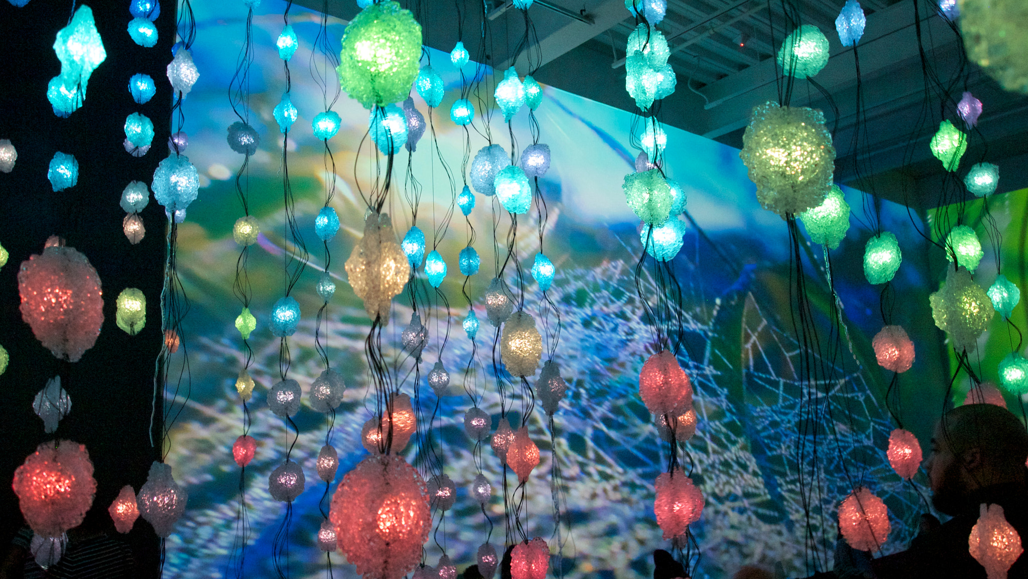Olympus PEN E-P1 sample photo. Pixel forest photography