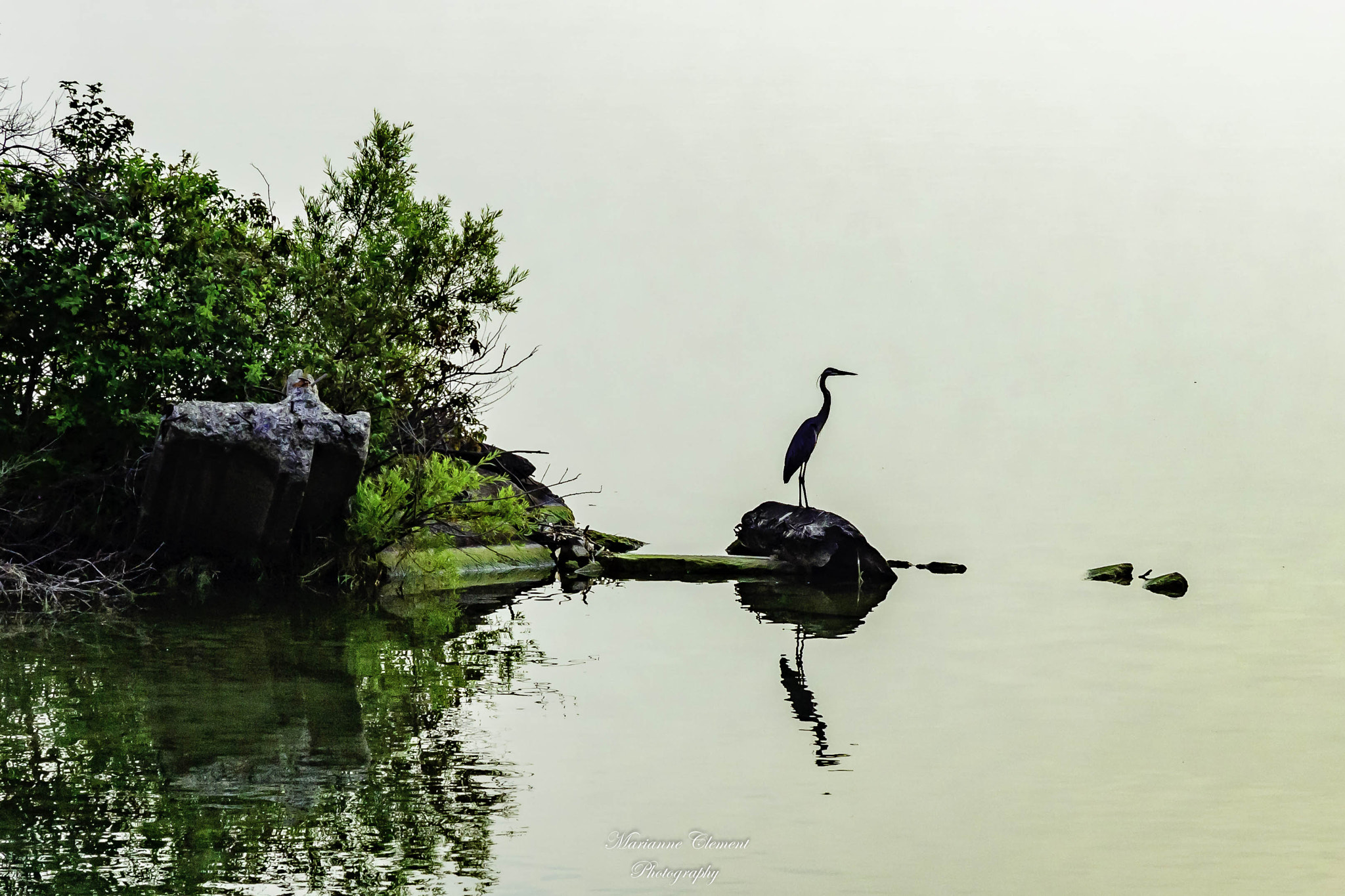 Canon EF-S 17-85mm F4-5.6 IS USM sample photo. Perched on a rock in the fog photography
