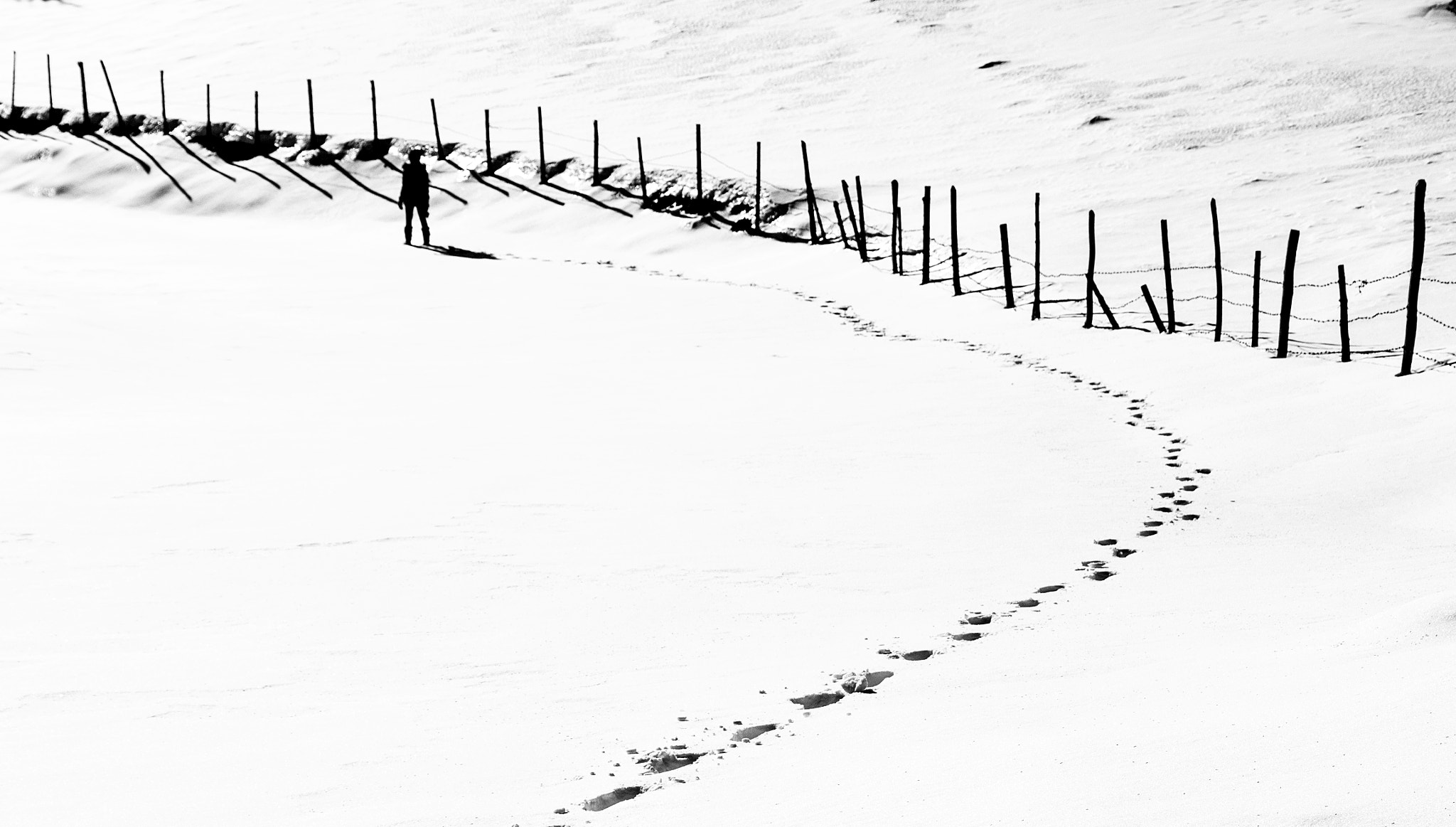 Canon EOS 60D sample photo. Winter... photography