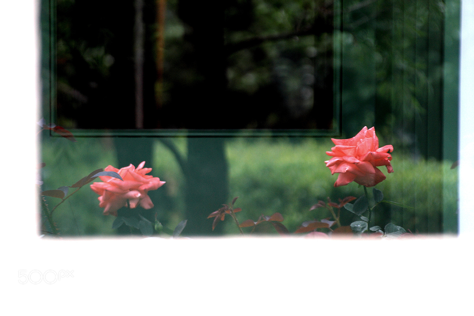 Canon EOS 7D sample photo. White window frame photography