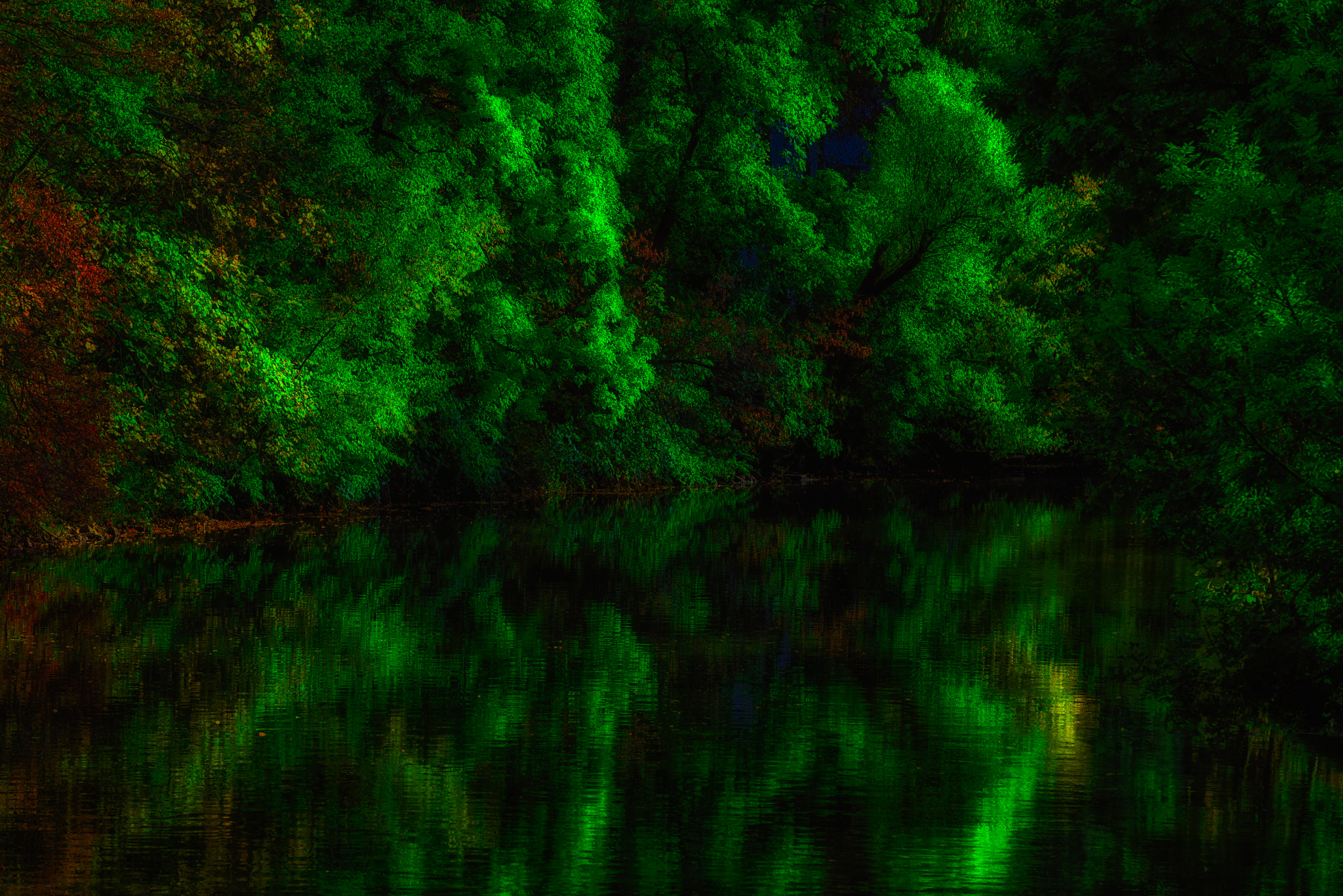 Nikon D810 sample photo. Green nidda autumn impressions photography