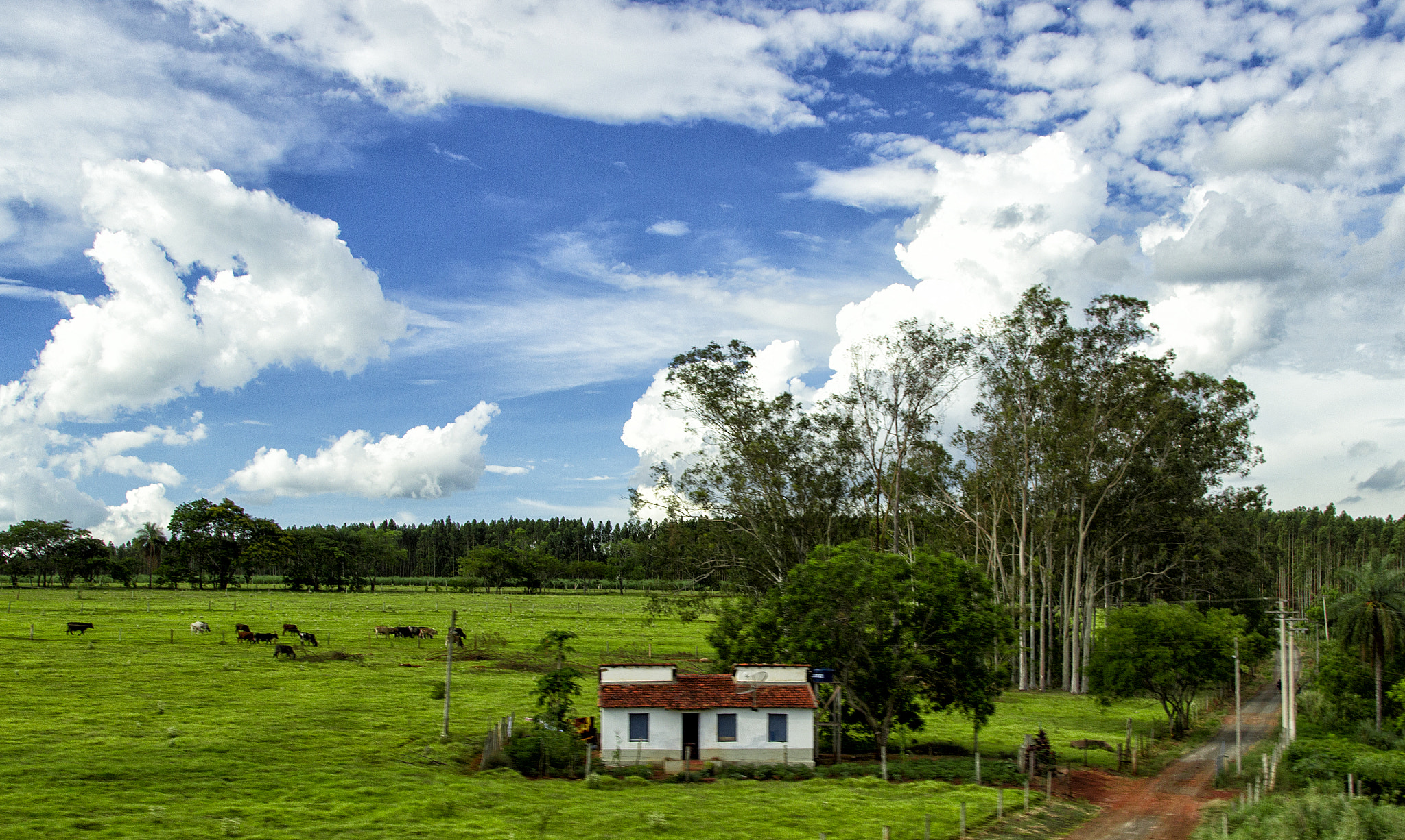 Canon EOS 600D (Rebel EOS T3i / EOS Kiss X5) sample photo. Casinha no campo photography