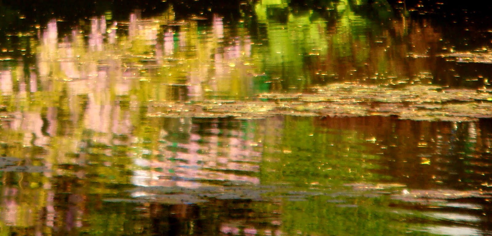 Sony DSC-T100 sample photo. Reflections in mr monet's pond, giverny photography