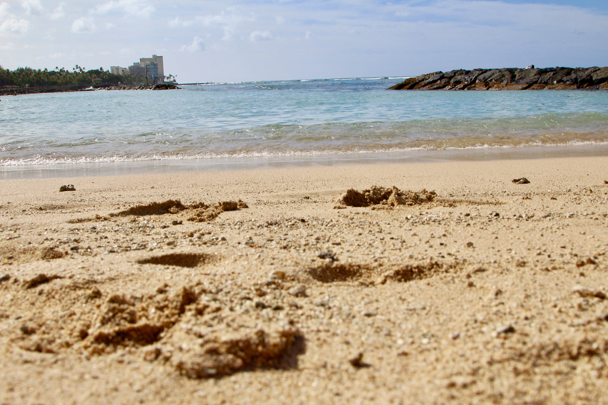 Canon EOS 1200D (EOS Rebel T5 / EOS Kiss X70 / EOS Hi) sample photo. Waikiki beach photography