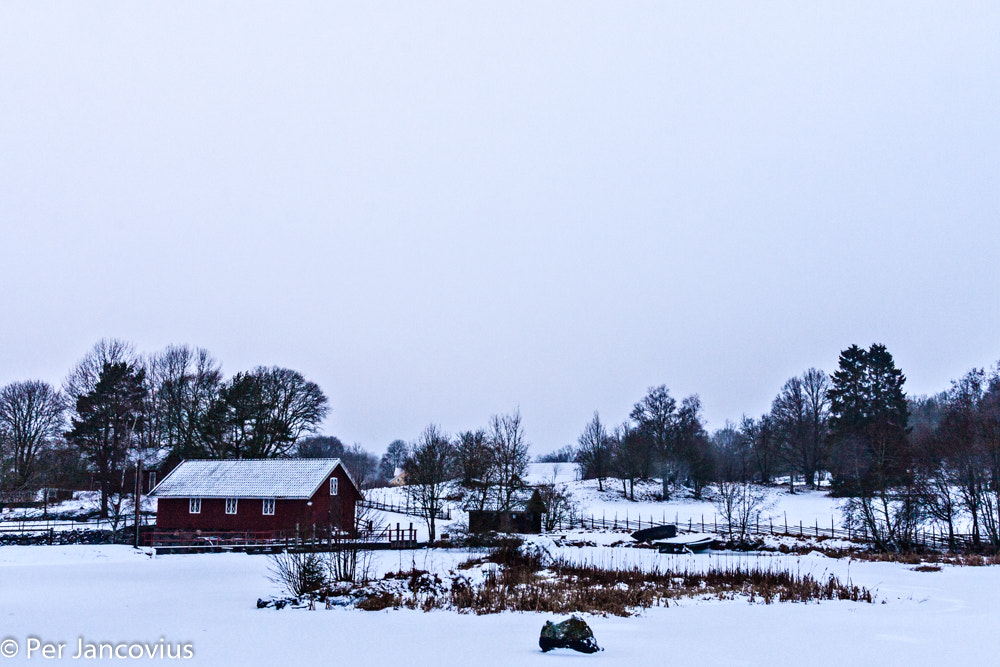 Canon EOS 40D sample photo. Winter mood 1 photography