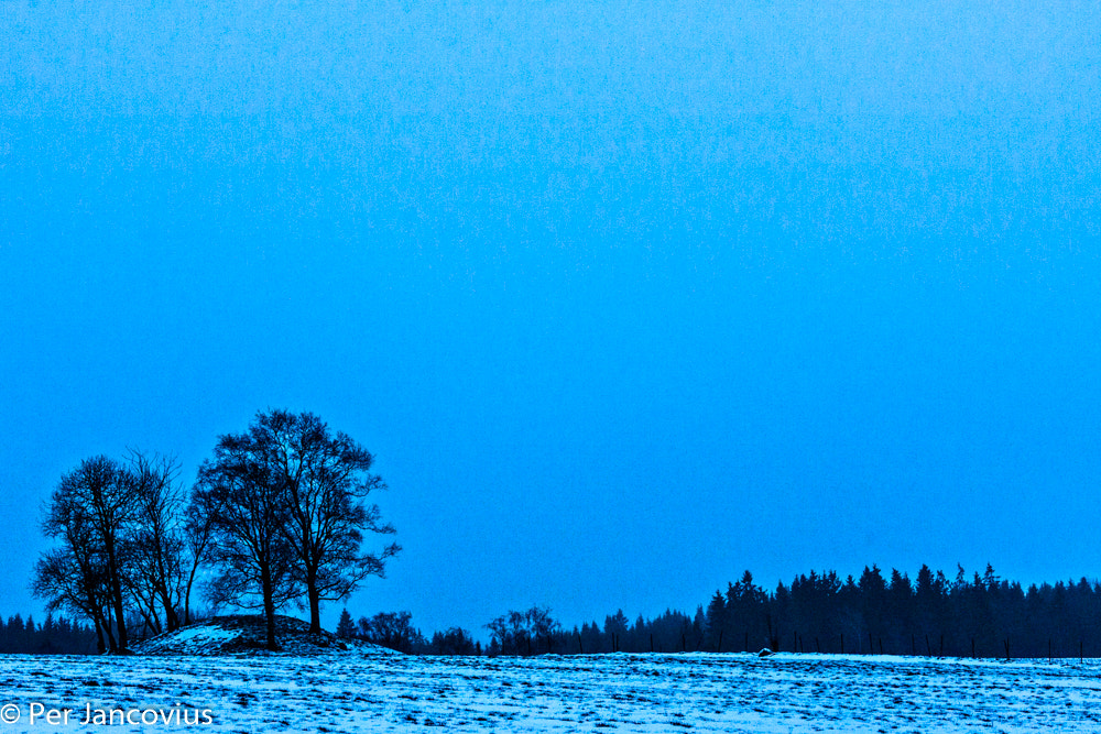 Canon EOS 40D sample photo. Winter mood 2 photography