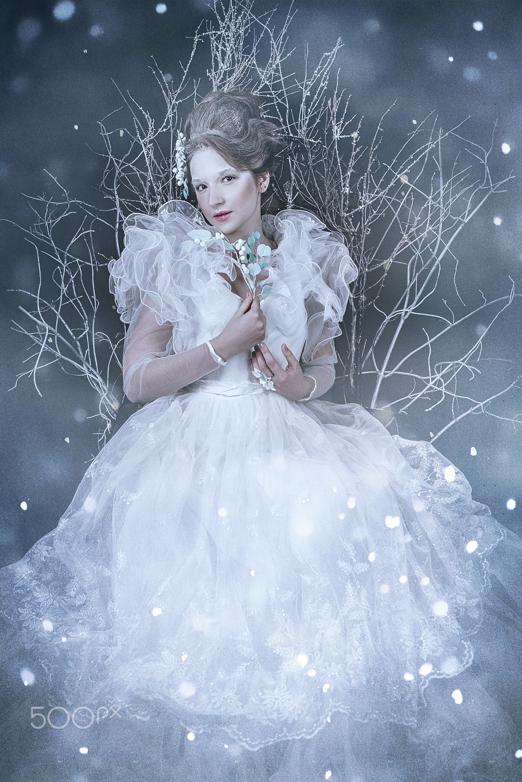 Nikon D610 sample photo. Ice queen dasha photography