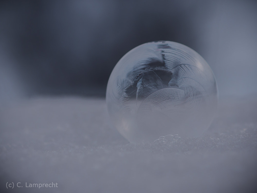 Sigma 105mm F2.8 EX DG Macro sample photo. Frozen photography
