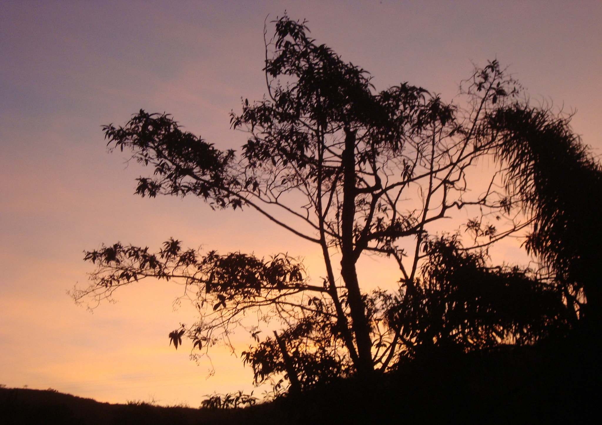 Sony DSC-W125 sample photo. Purple sky photography