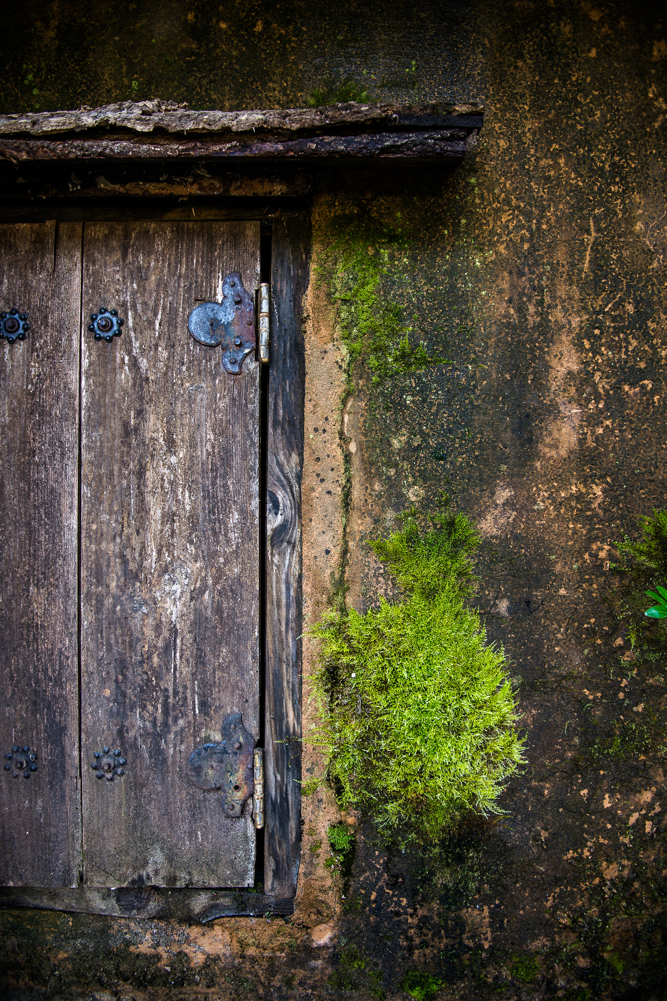 Nikon Df sample photo. Traces of time photography