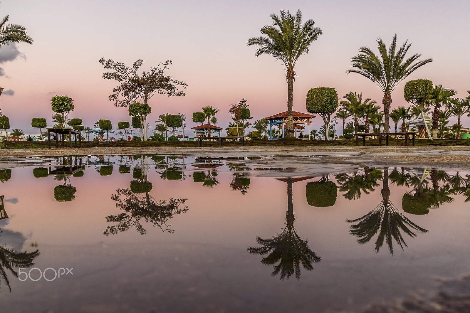 Nikon D5500 + Sigma 18-250mm F3.5-6.3 DC OS HSM sample photo. Magic of garden sunset reflection after rain photography