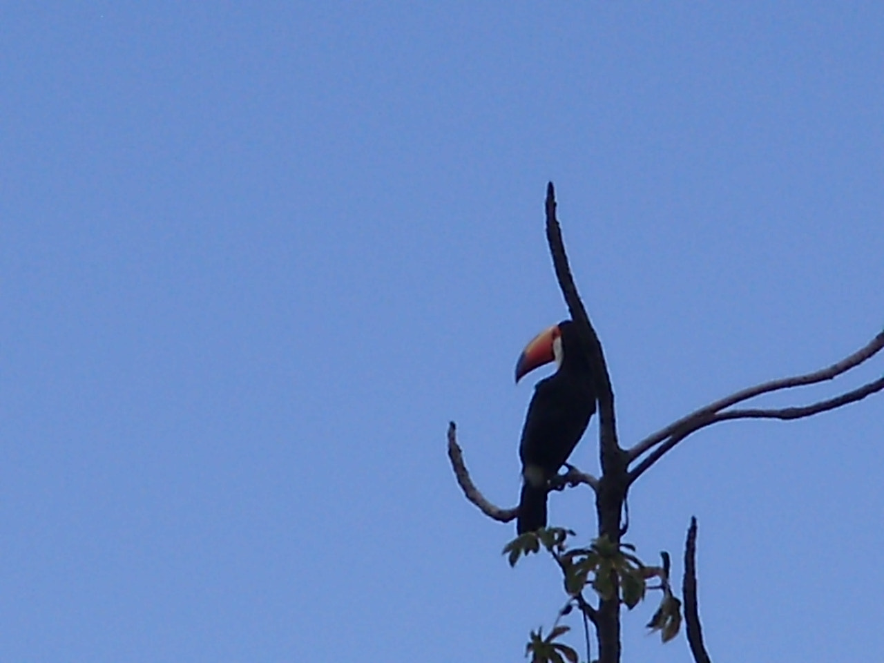 Olympus FE310,X840,C530 sample photo. Tucano photography