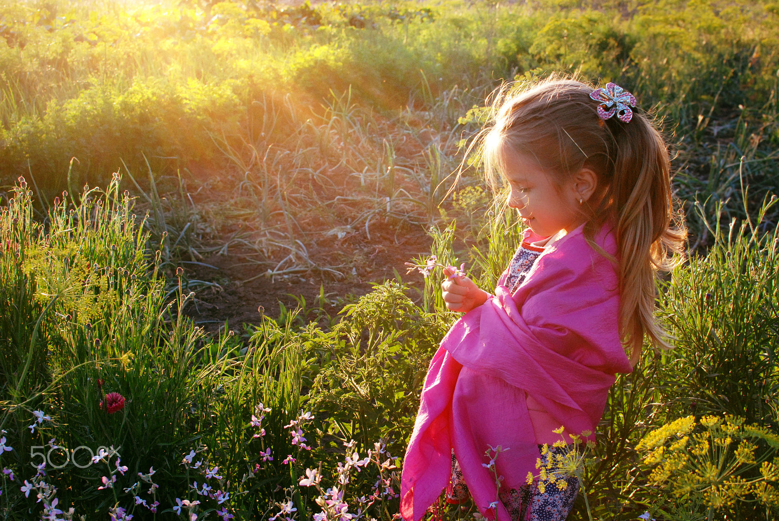 Nikon D80 + Nikon AF-S DX Nikkor 35mm F1.8G sample photo. Little fairy photography