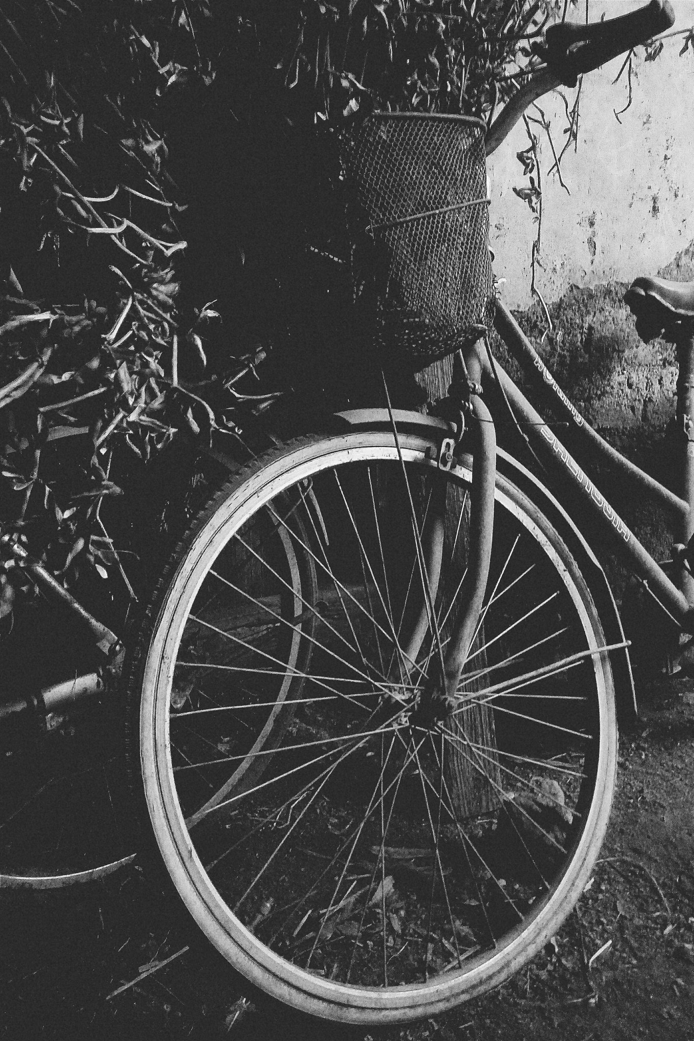 Meizu m2 sample photo. Bike photography
