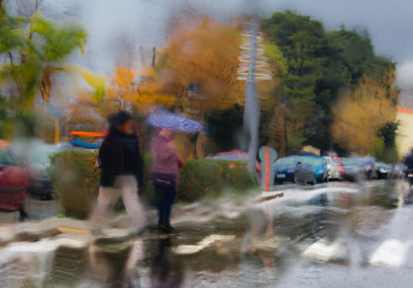 Sigma 18-250mm F3.5-6.3 DC OS HSM sample photo. Walking in the rain photography
