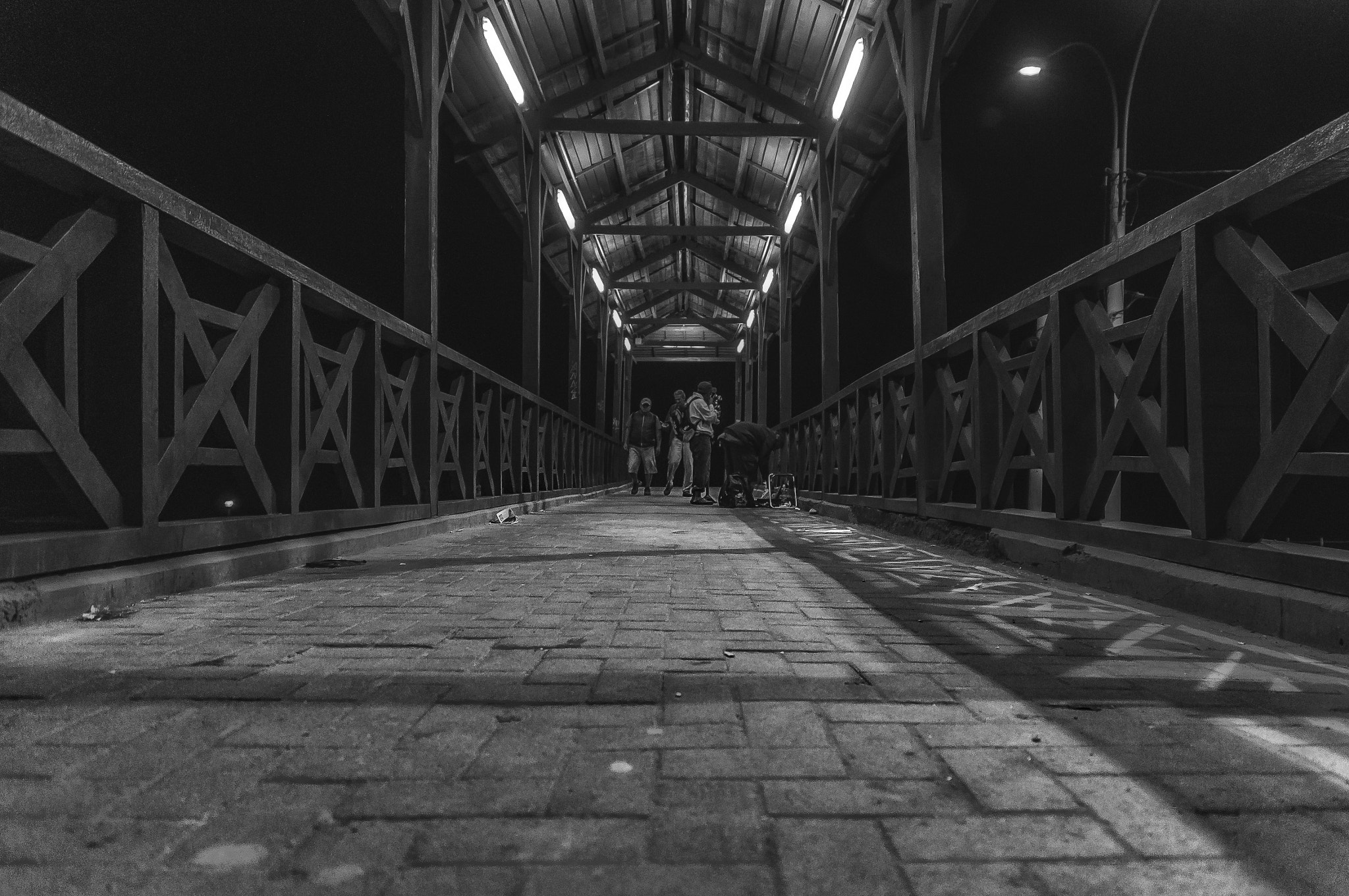 Sony SLT-A37 sample photo. Pedestrian bridge photography