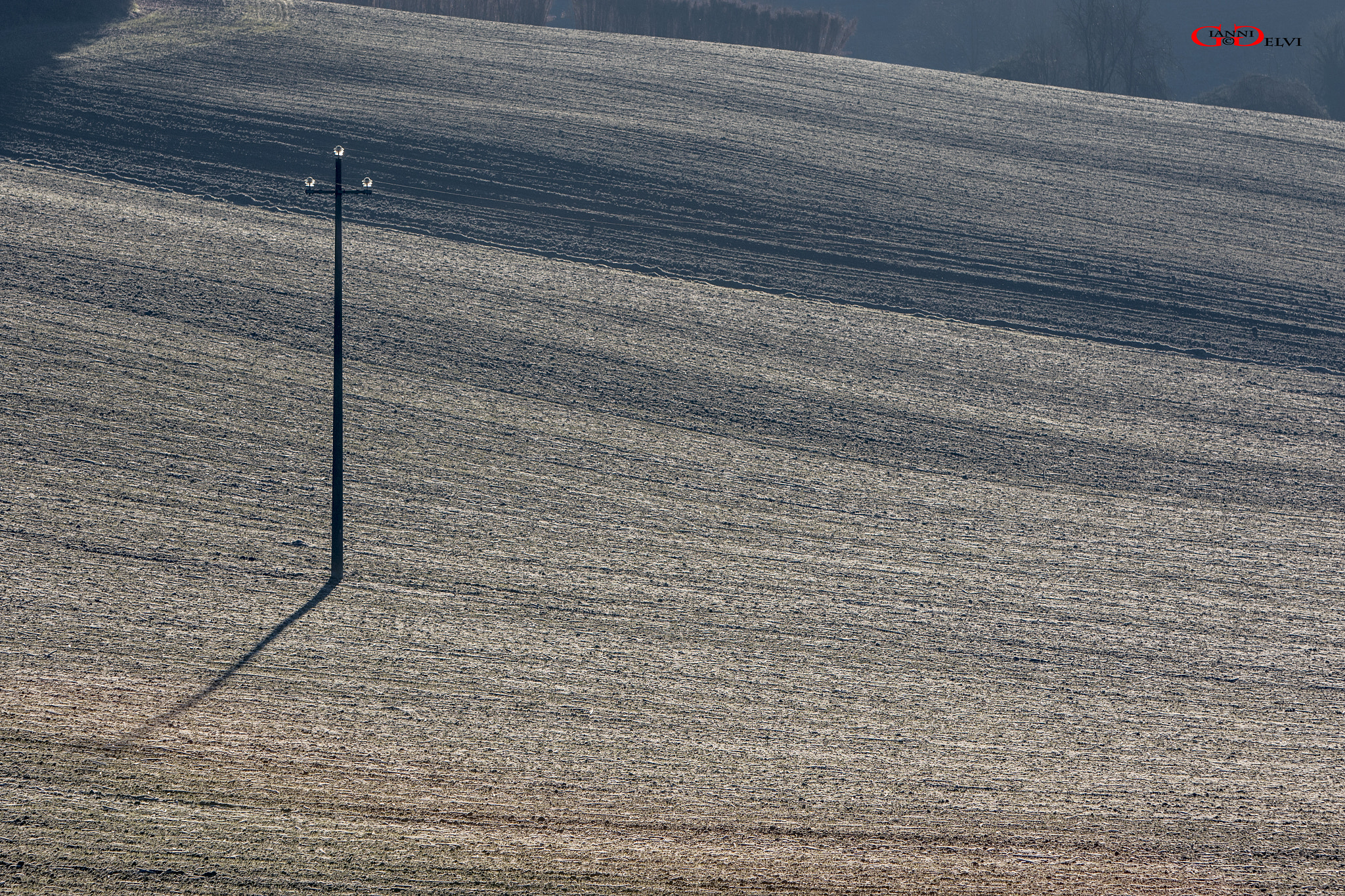 Canon EF 70-200mm F2.8L IS USM sample photo. Valiano photography