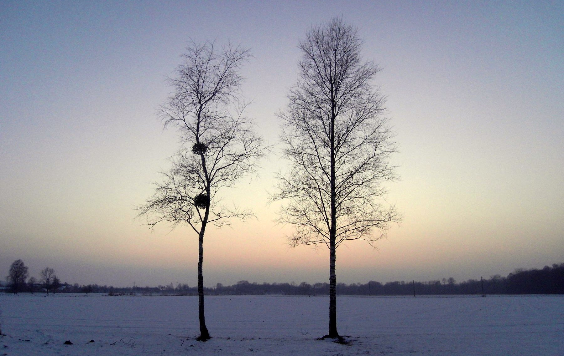 Samsung NV24HD, VLUU NV24HD, LANDIAO NV106HD sample photo. Winterbirken photography