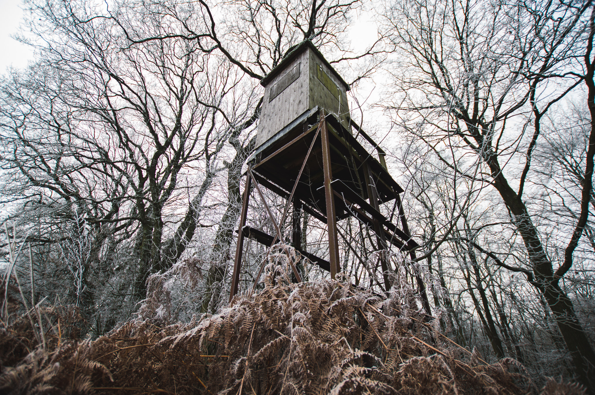 Sigma 10-20mm F3.5 EX DC HSM sample photo. Frozen hide photography