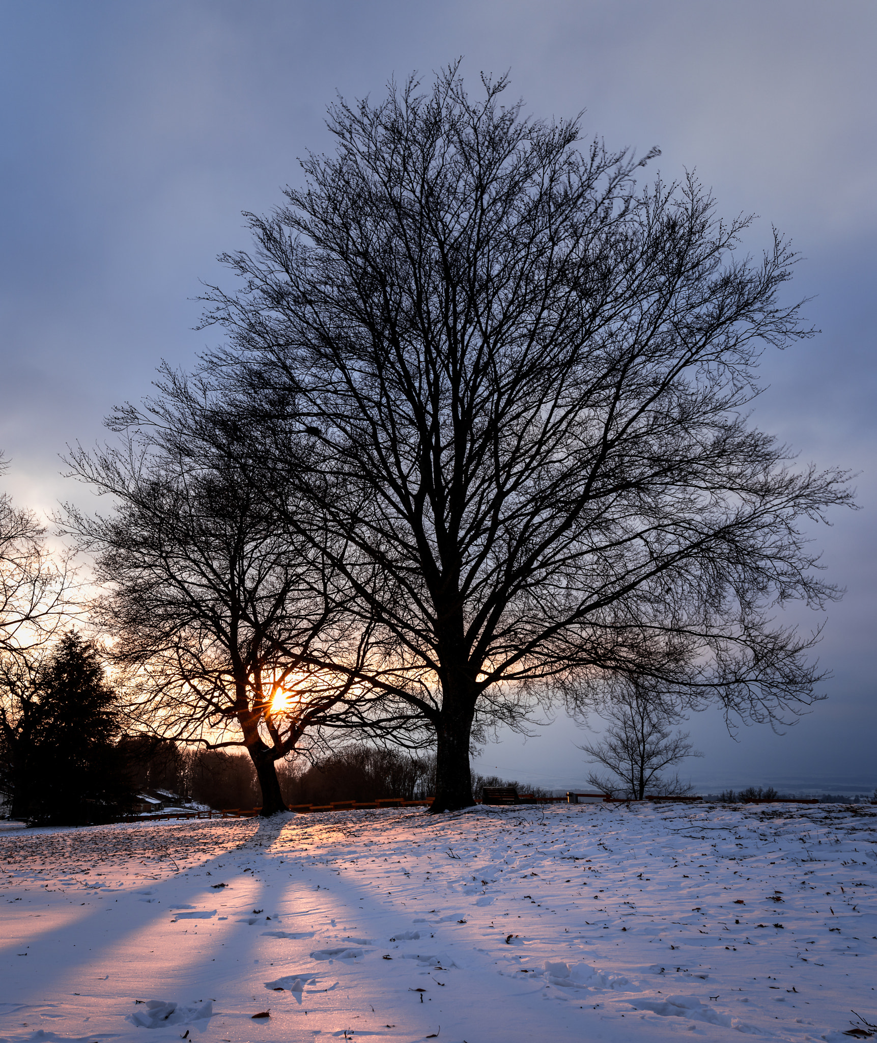 Sigma 24mm F1.4 DG HSM Art sample photo. Sunset in winter photography