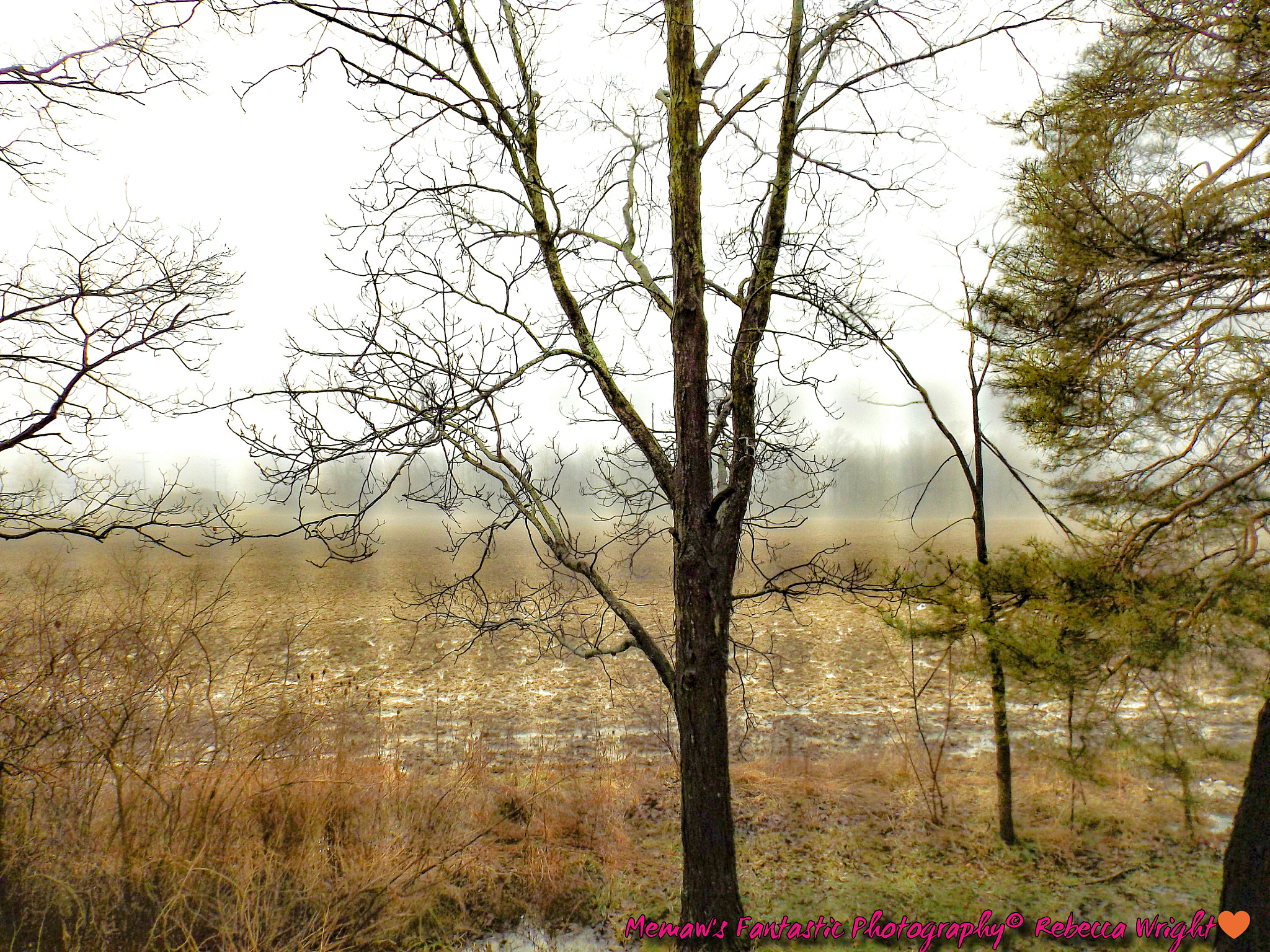 Fujifilm FinePix S4830/Walmart sample photo. January 2017 winter in michigan photography