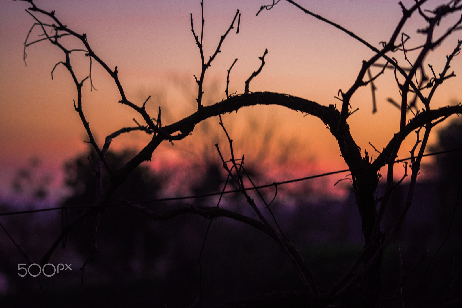 Sigma 70-300mm F4-5.6 APO DG Macro sample photo. Sunset photography