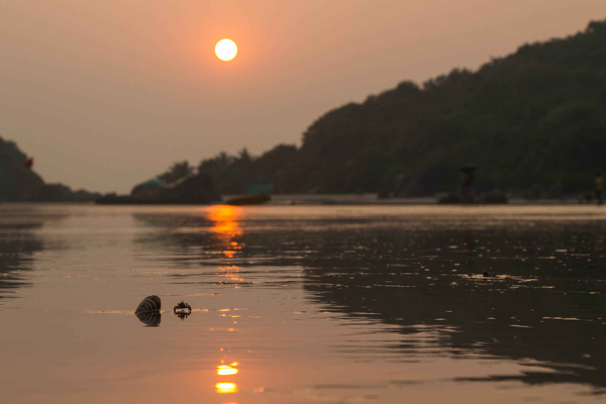 Canon EOS 700D (EOS Rebel T5i / EOS Kiss X7i) sample photo. Sunset photography
